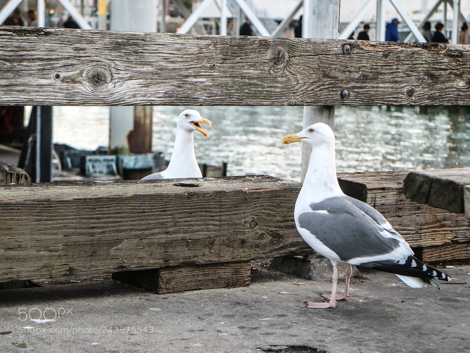 Canon EOS M3 sample photo. My recent trip to photography