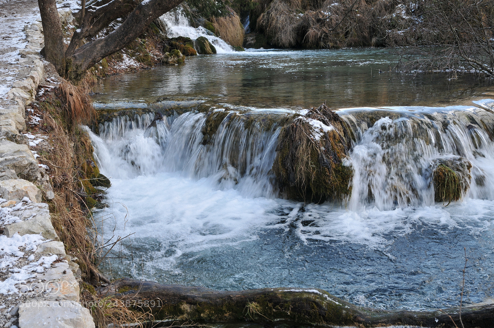 Nikon D300 sample photo. Untitled photography