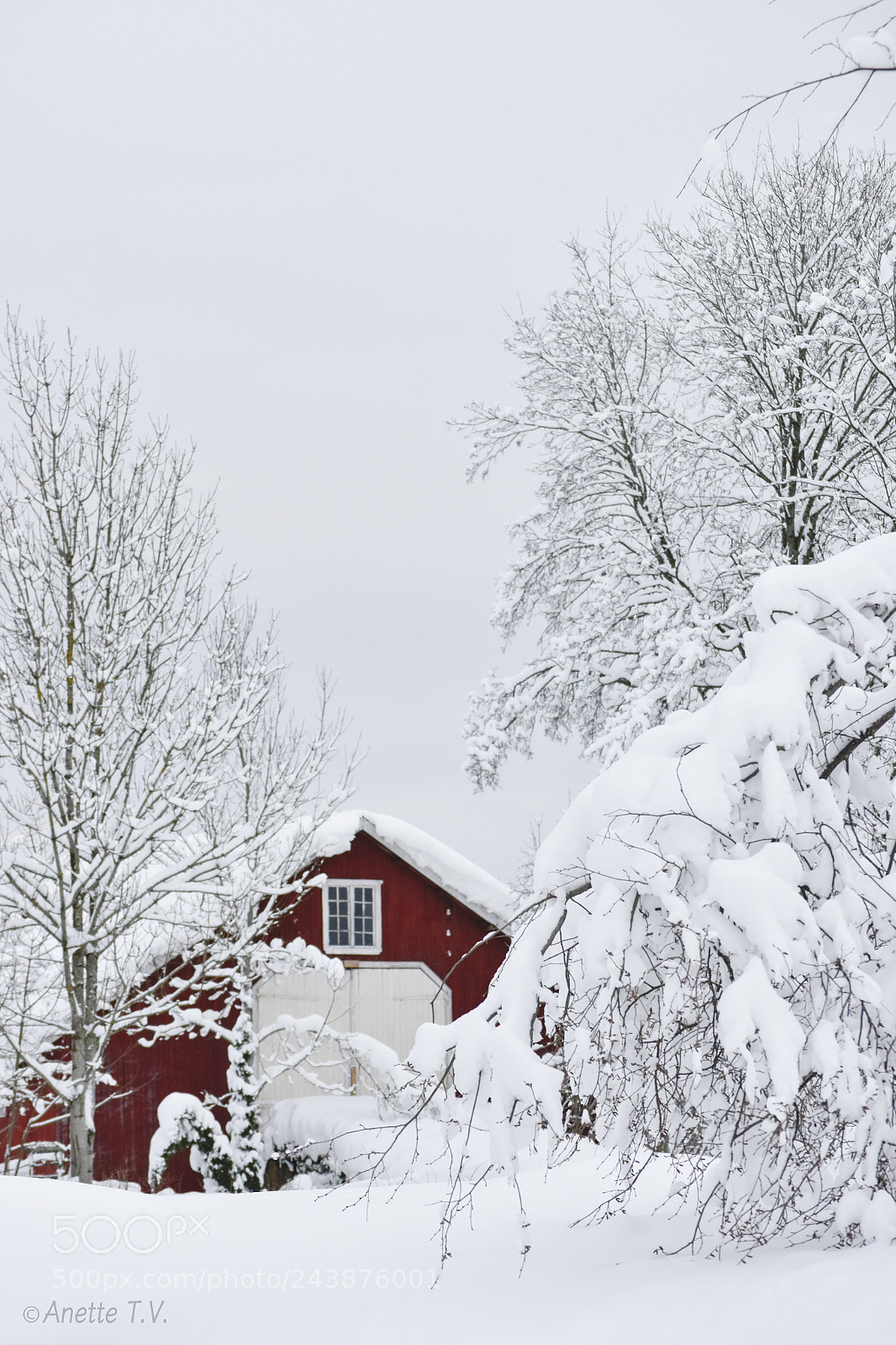 Nikon D5500 sample photo. Red barn .. photography