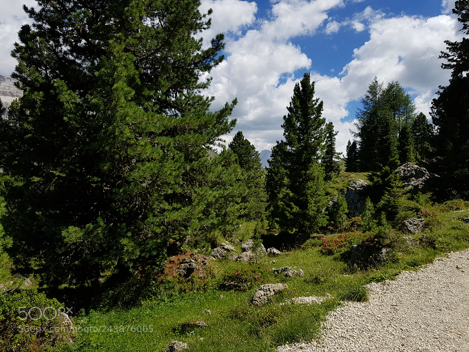 Samsung Galaxy S8+ sample photo. Dolomiti71 photography