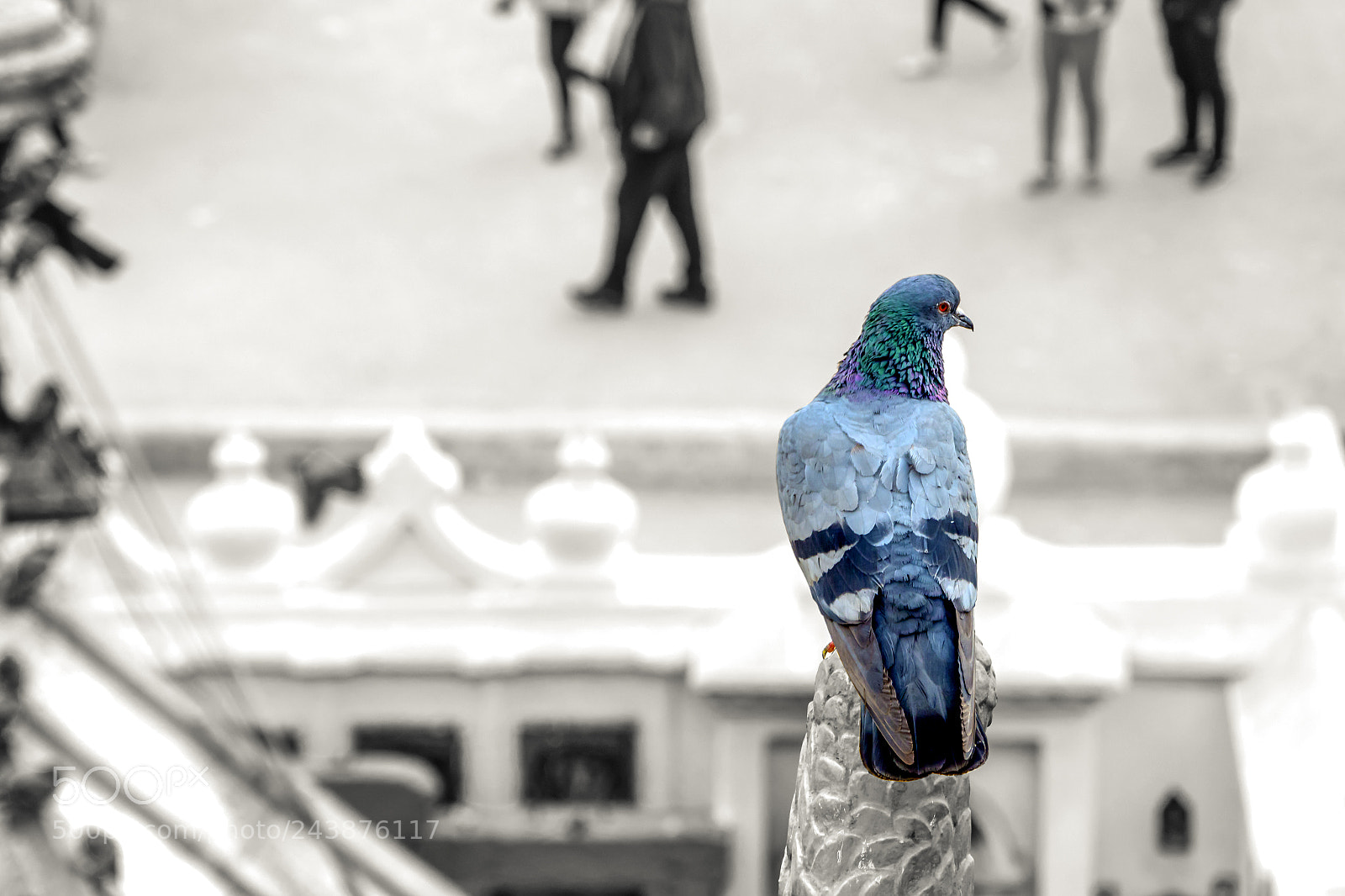 Nikon D7100 sample photo. Lonely photography