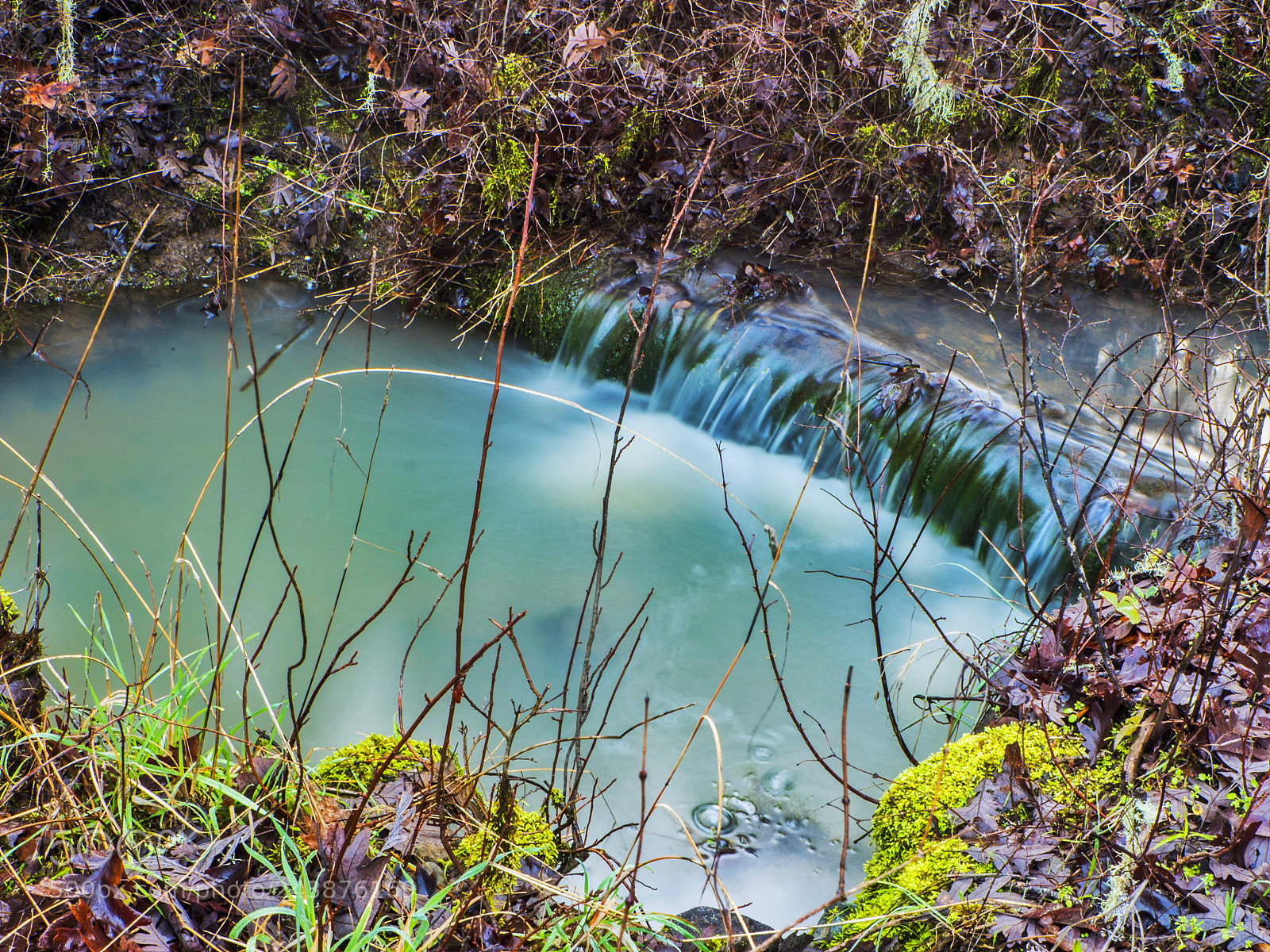 Panasonic Lumix DMC-GH4 sample photo. The pool of life photography