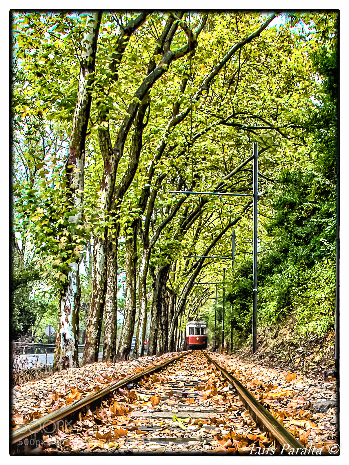 Nikon D90 sample photo. Postal de sintra !!! photography