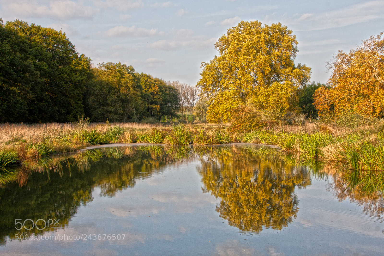 Canon EOS 40D sample photo. Reflection photography