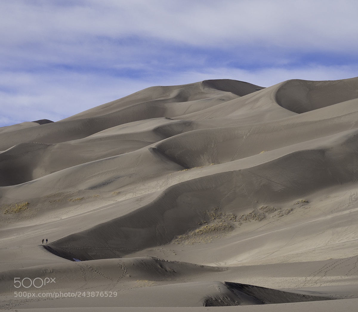 Olympus OM-D E-M1 Mark II sample photo. Dune photography