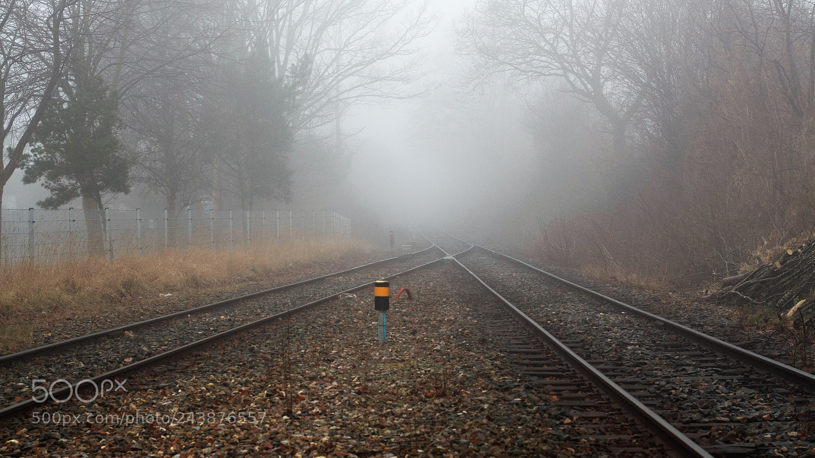 Nikon D500 sample photo. Nowhere.... photography