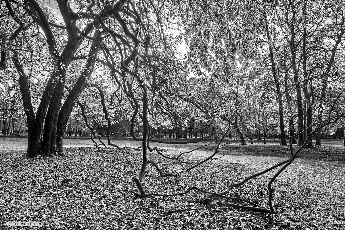 Nikon D800 sample photo. Parco photography