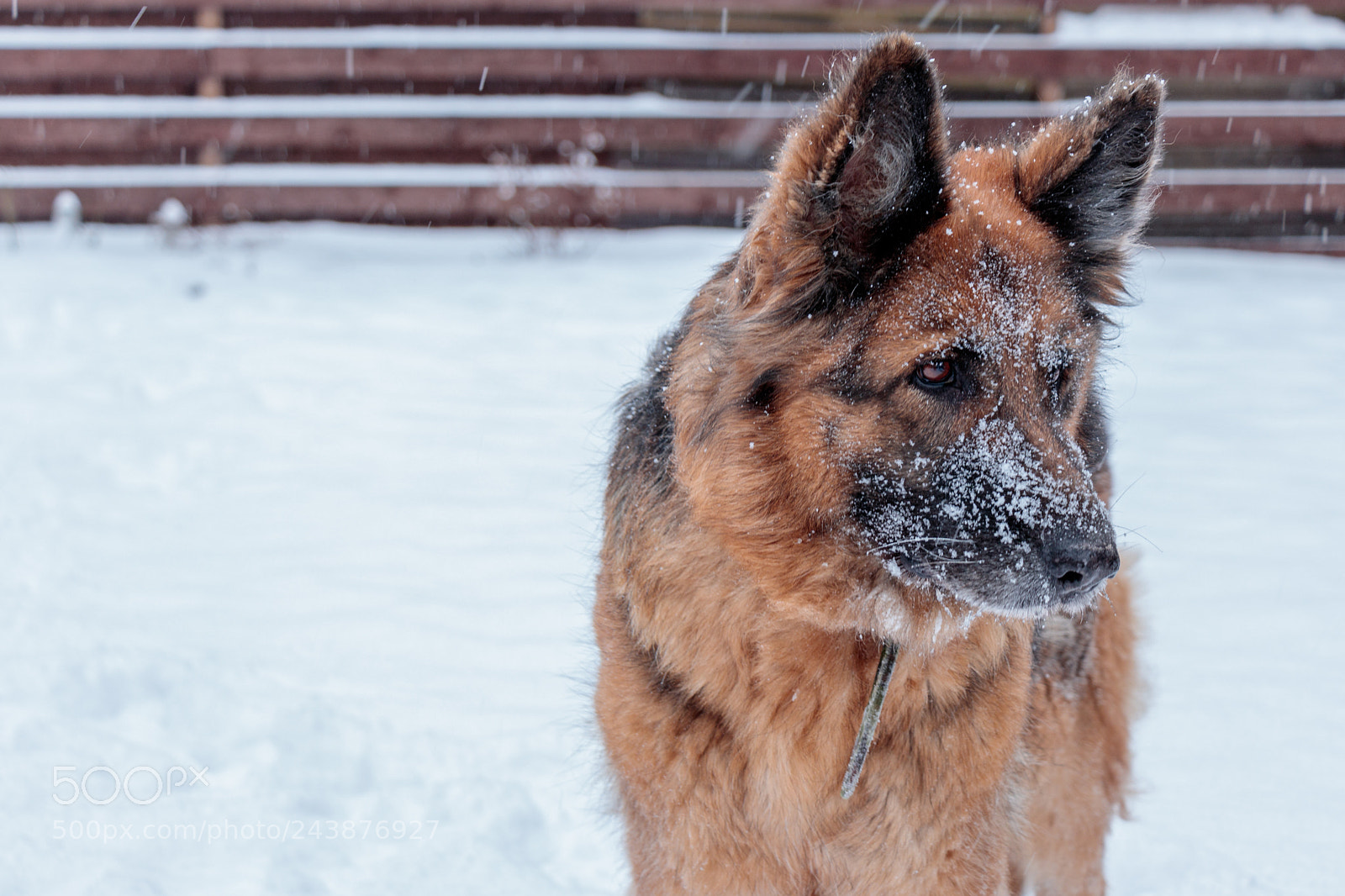 Canon EOS 77D (EOS 9000D / EOS 770D) sample photo. Delta photography