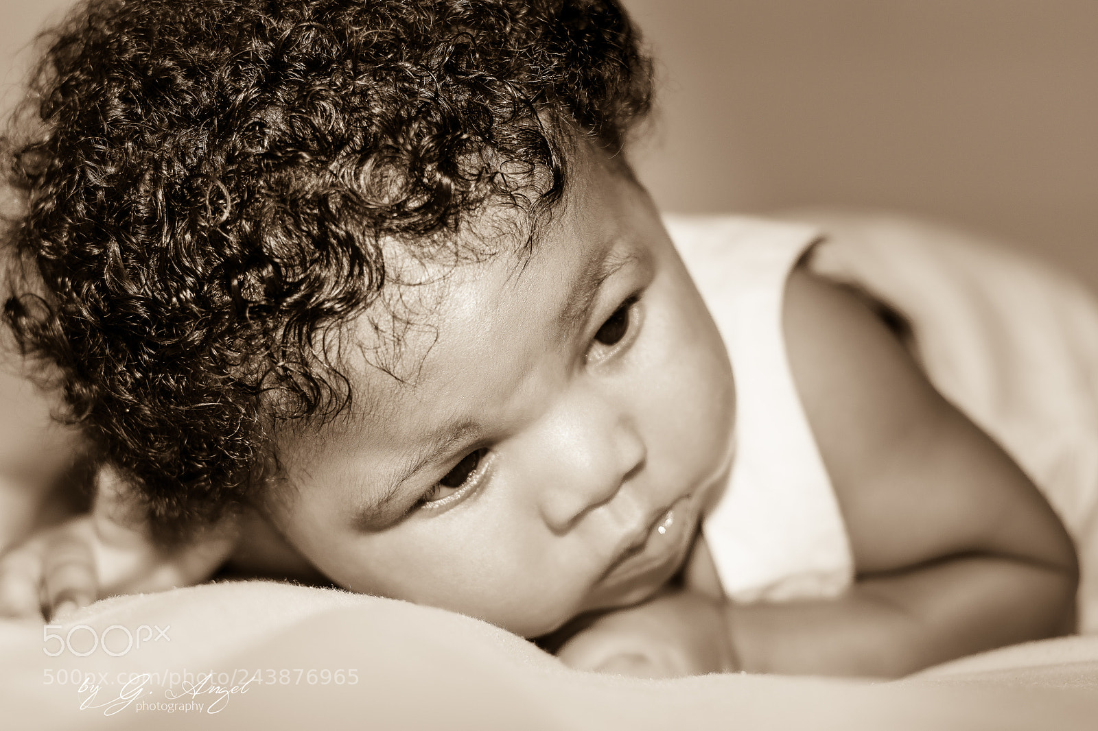Nikon D500 sample photo. Marc photography