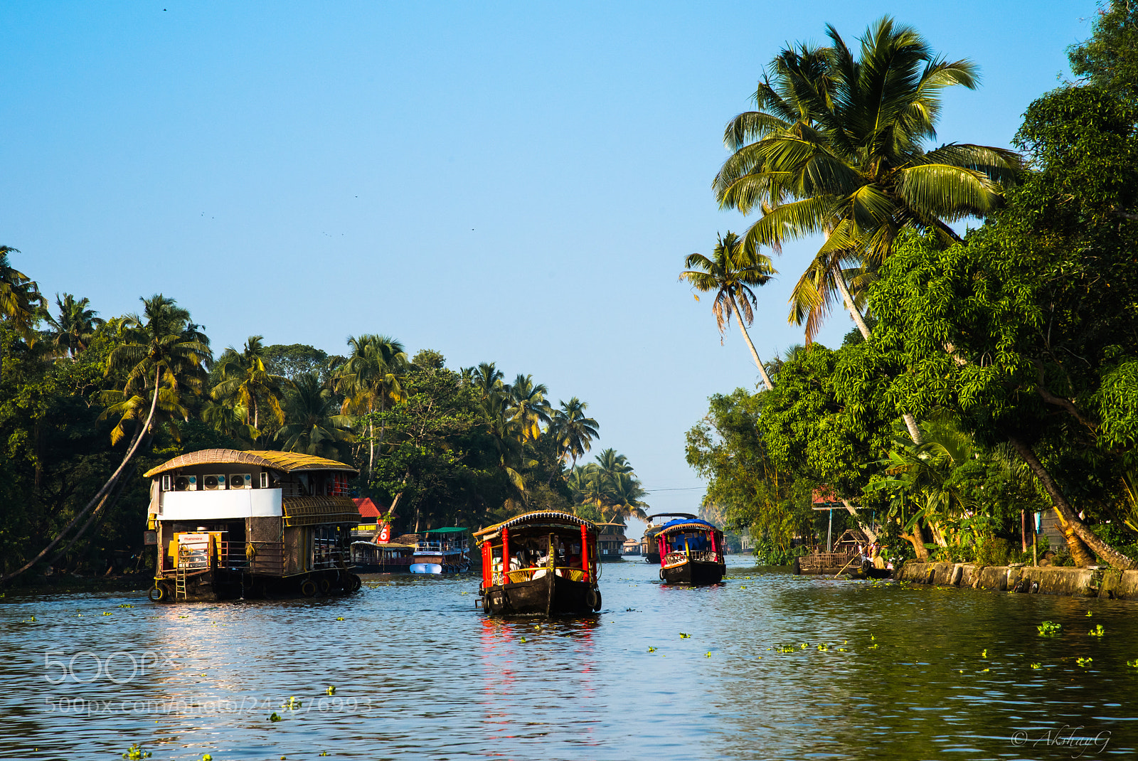 Nikon D810 sample photo. Allepey backwaters photography
