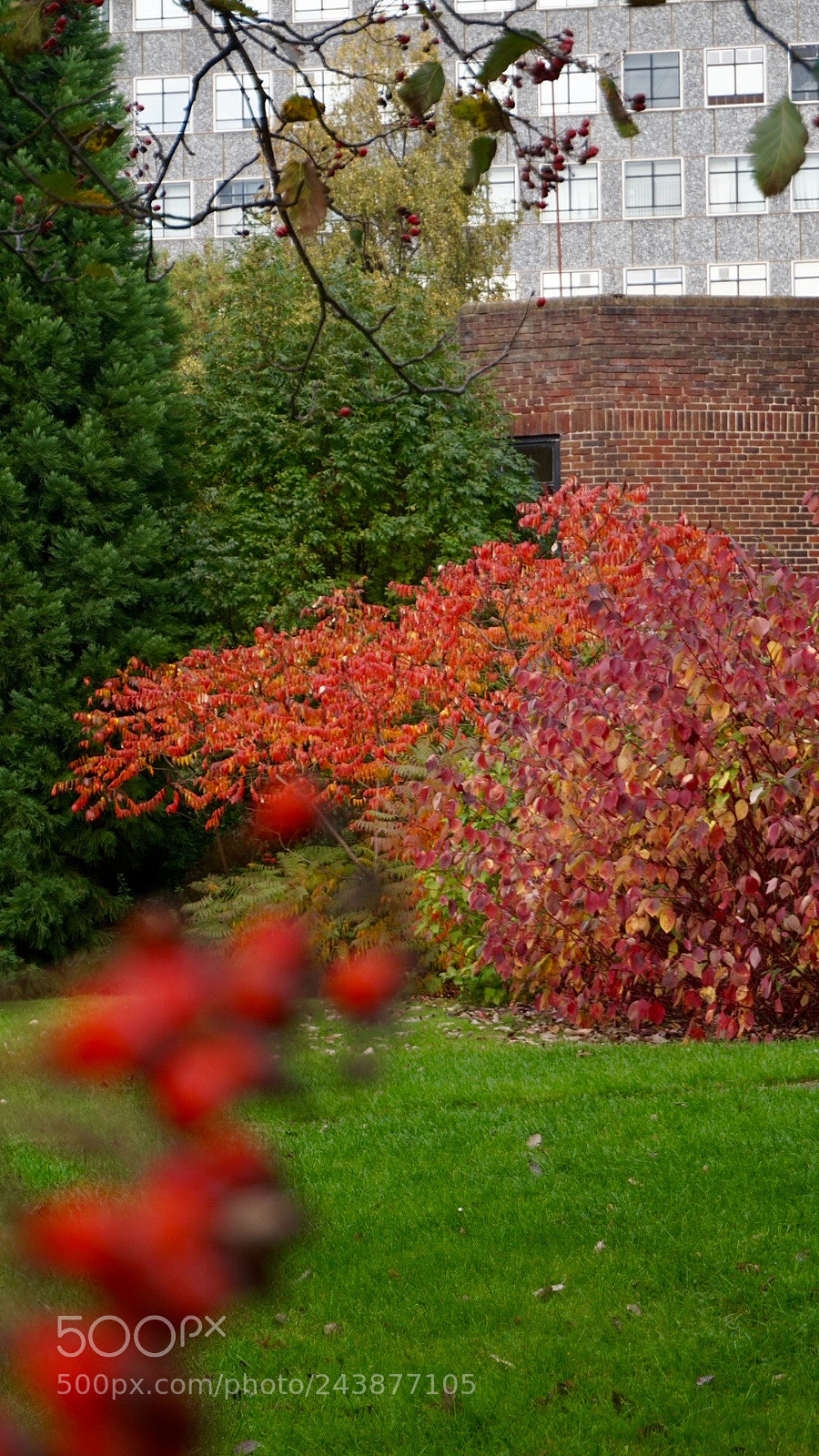 Sony Alpha a5000 (ILCE 5000) sample photo. Favorite season, autumn photography