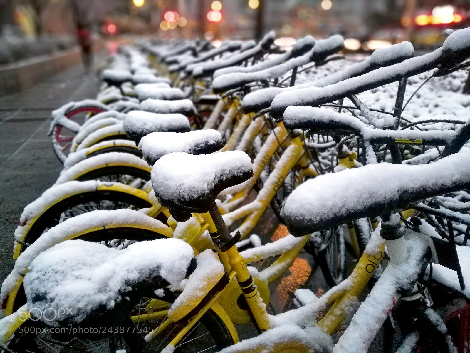 HUAWEI P9 sample photo. Snow on bicycles photography