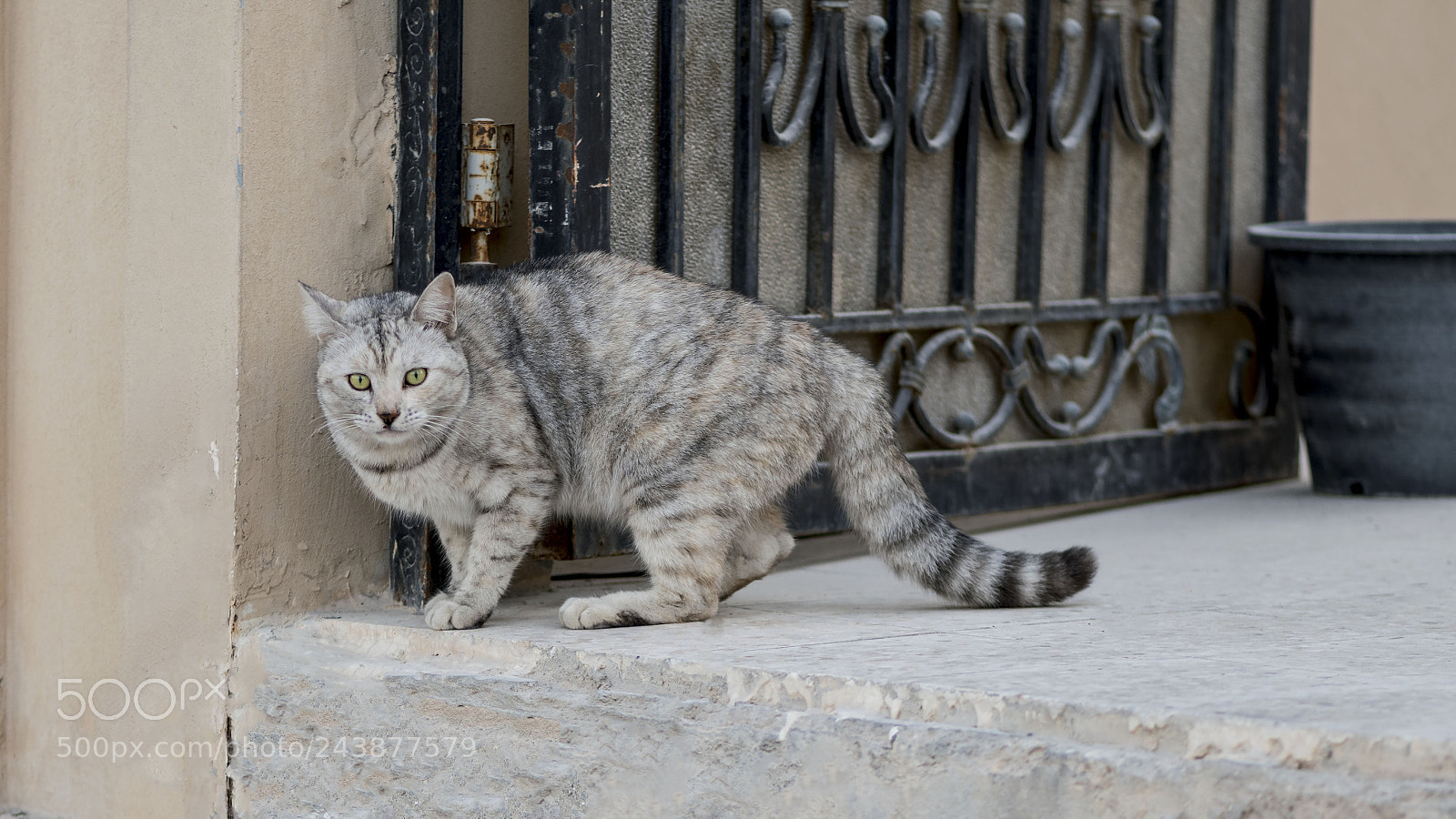 Nikon D500 sample photo. Who you are photography