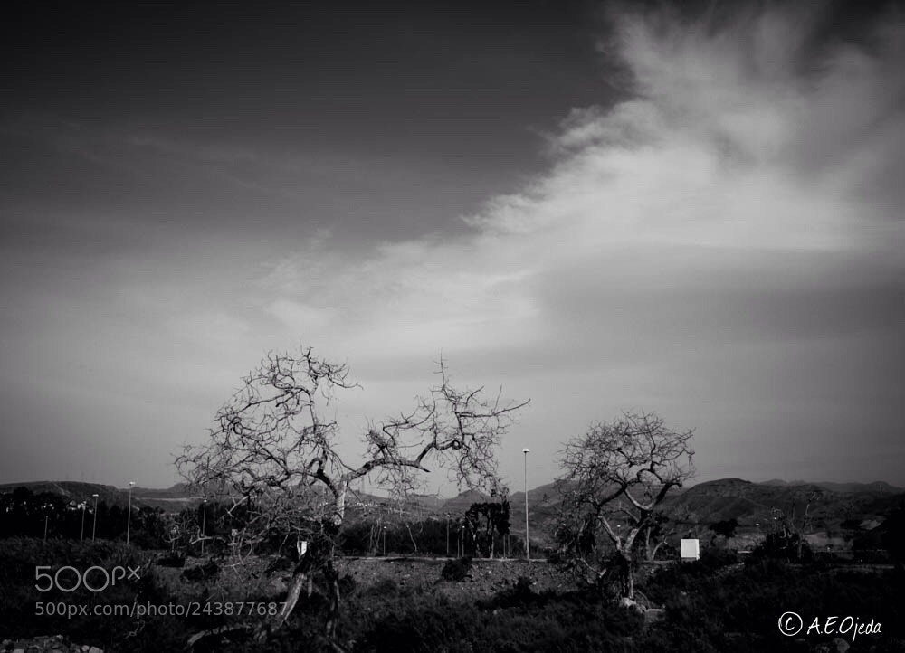 Canon EOS 550D (EOS Rebel T2i / EOS Kiss X4) sample photo. Mundo tenebroso photography