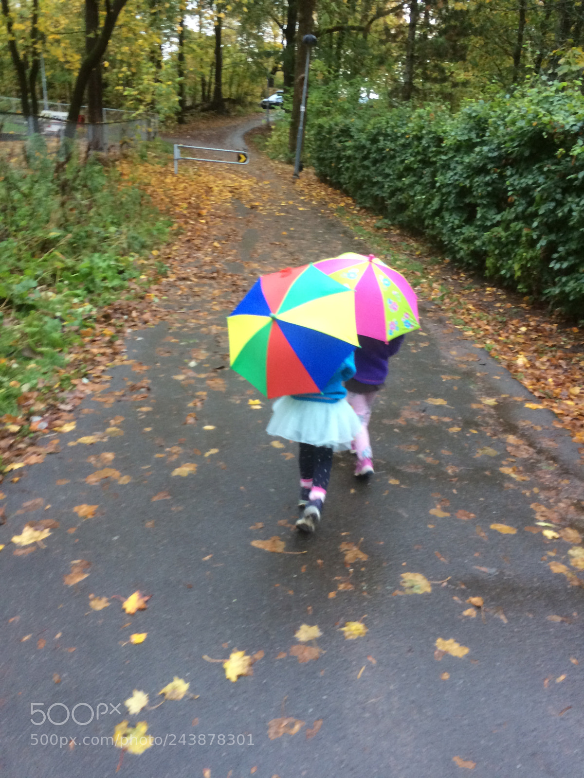 Apple iPhone 5s sample photo. Img photography
