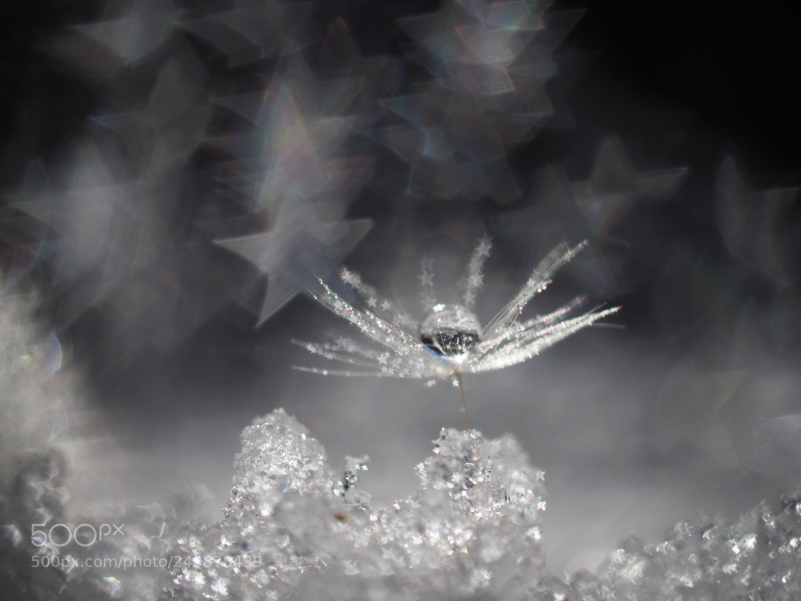 Olympus OM-D E-M1 Mark II sample photo. Starry sky photography