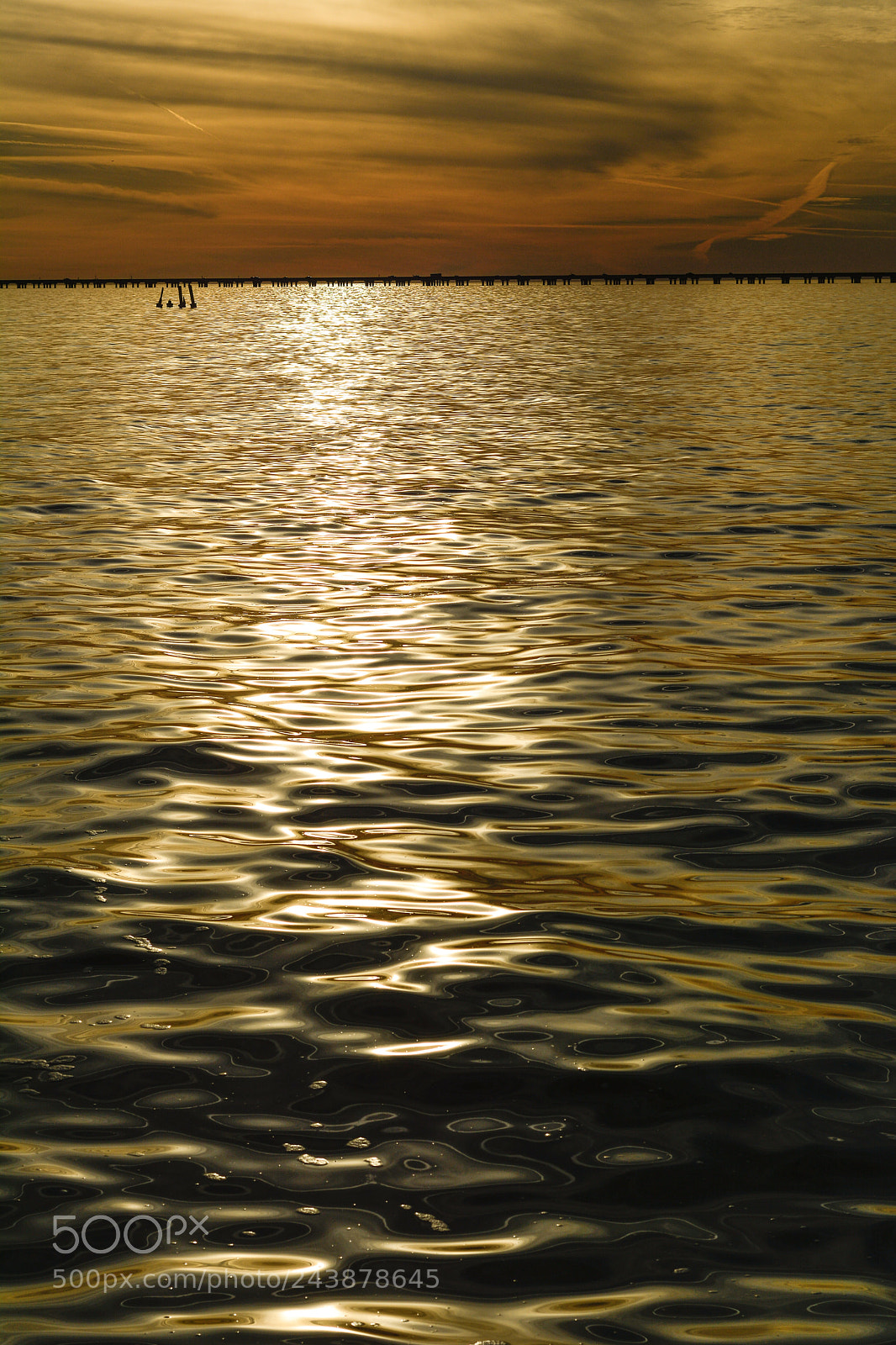 Nikon D7100 sample photo. Golden sunset, mandeville, la. photography