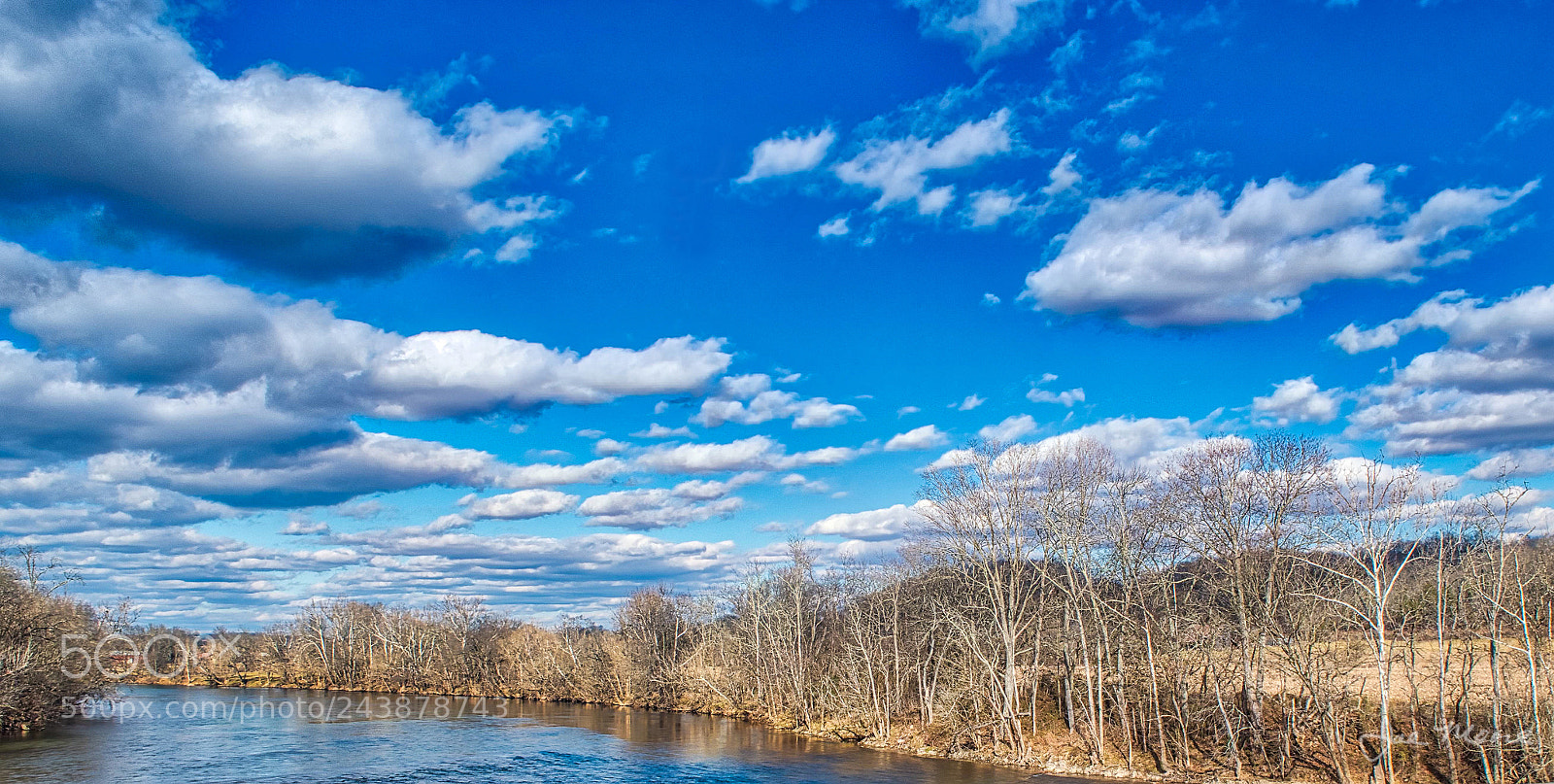Nikon D5500 sample photo. Nolichucky eagle photography