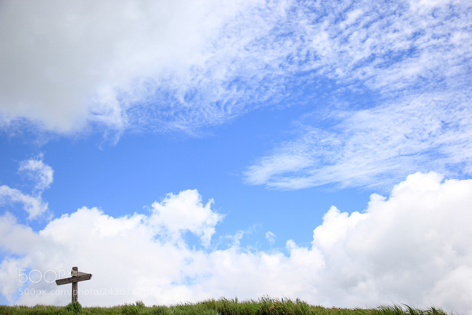 Canon EOS 60D sample photo. 美ヶ原 photography