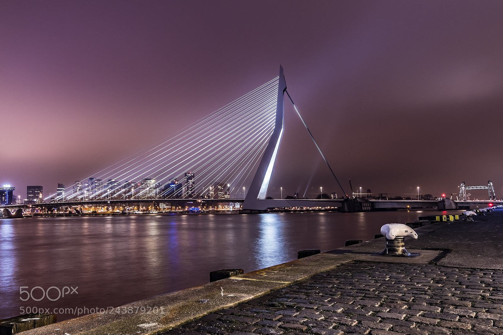 Nikon D500 sample photo. Rotterdam by night photography