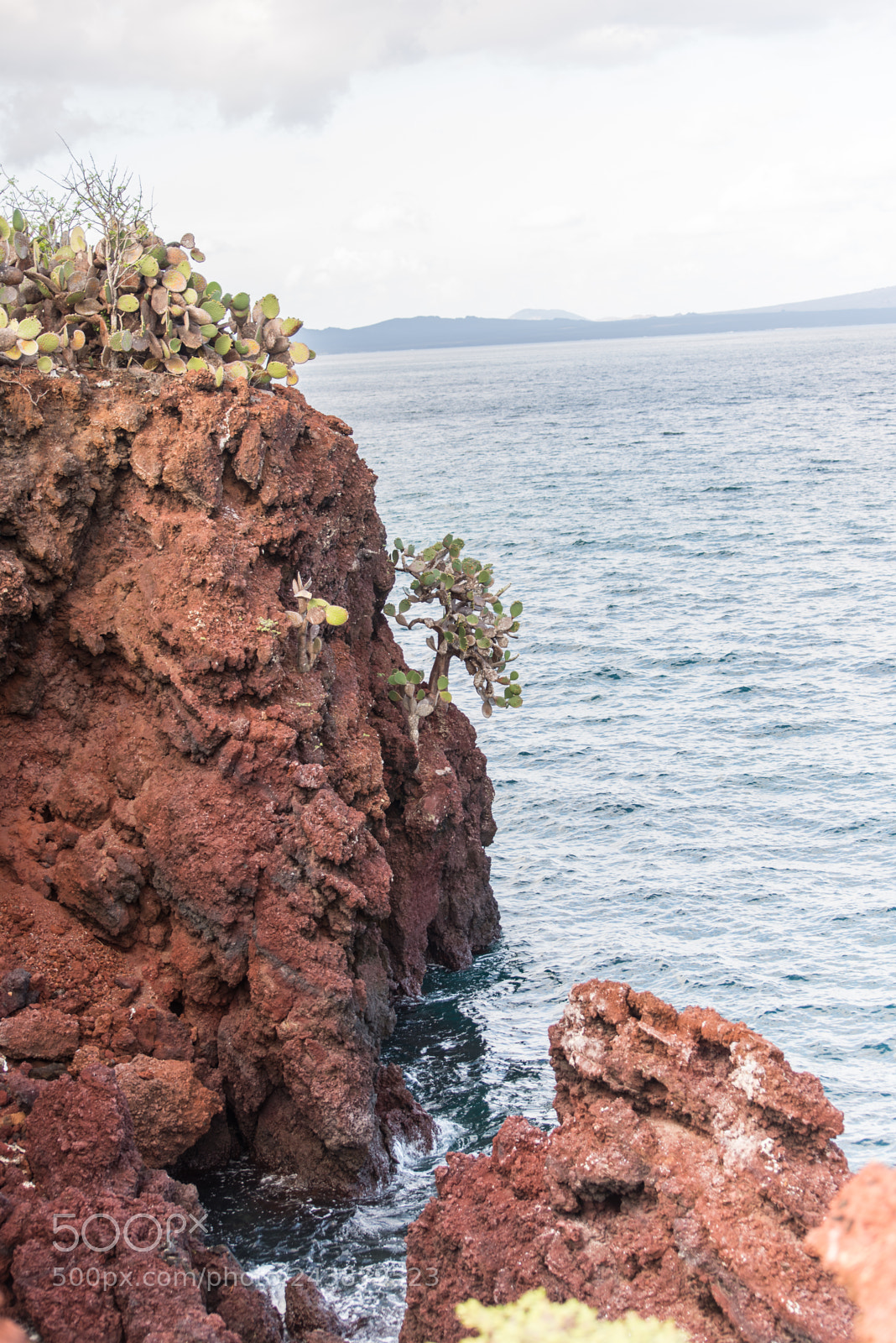 Nikon D610 sample photo. Cliff view, rabida island photography