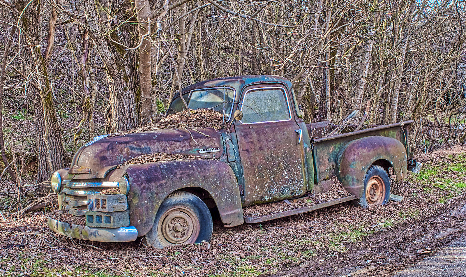 Nikon D5500 sample photo. Days gone by photography