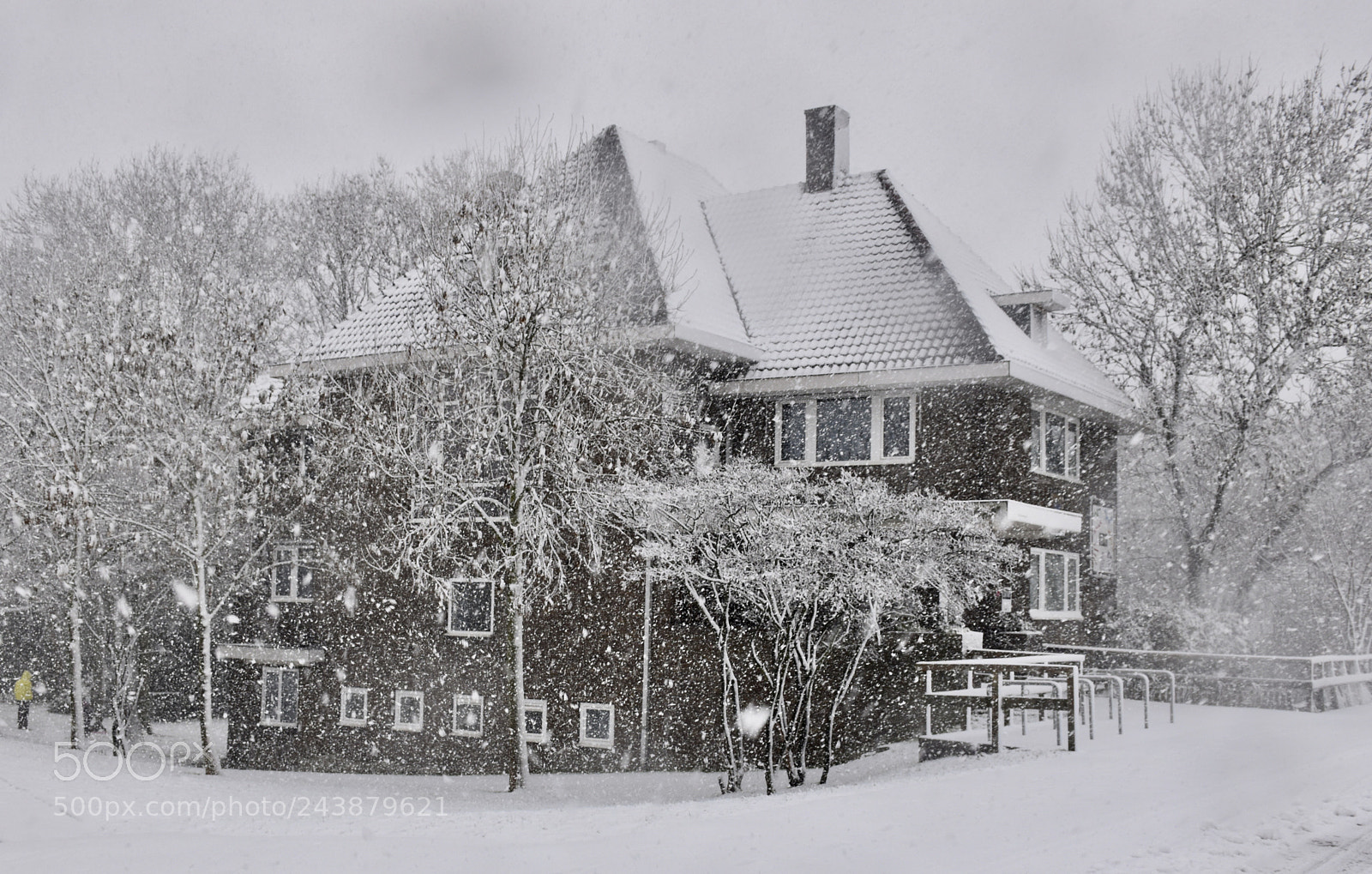 Nikon D5600 sample photo. House in the snow photography