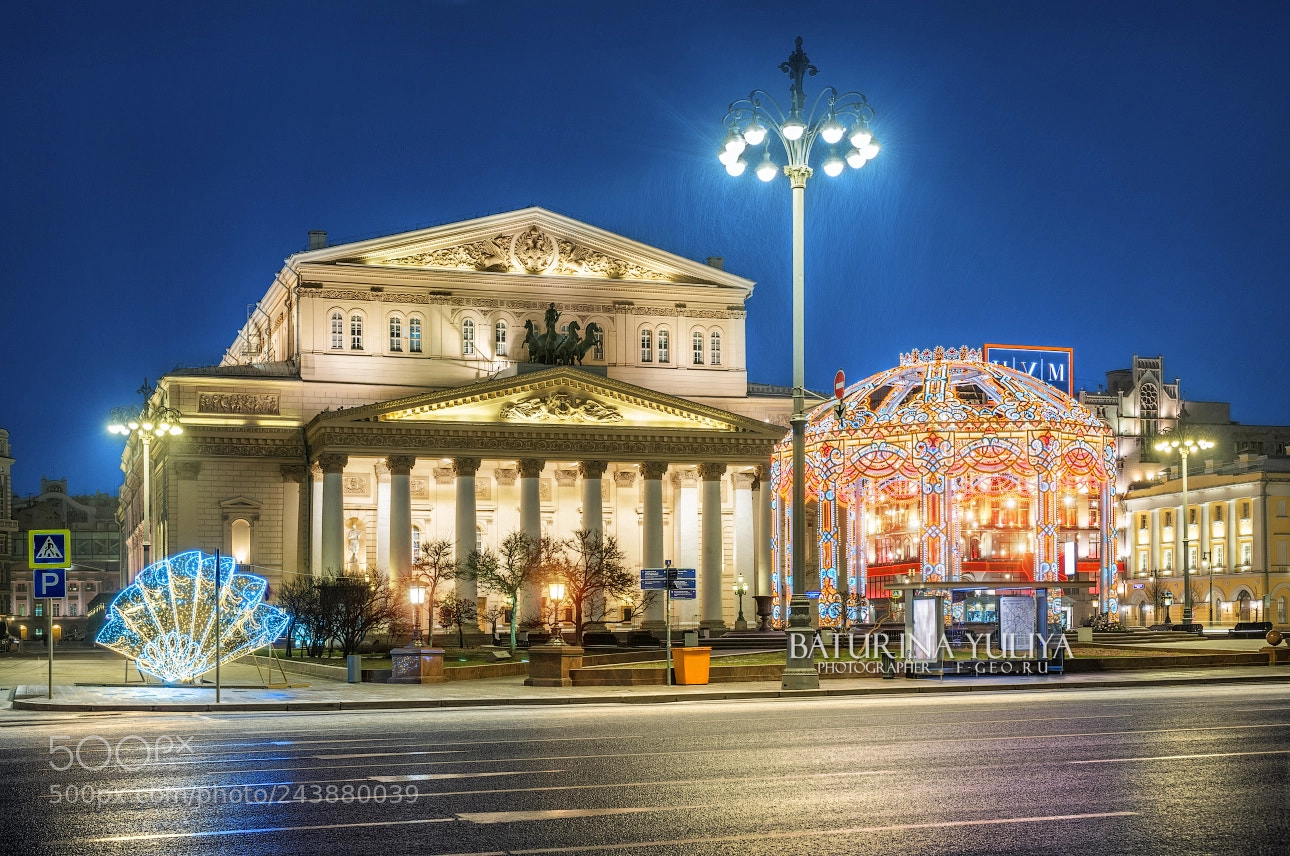 Nikon D800 sample photo. New year's decorations near photography