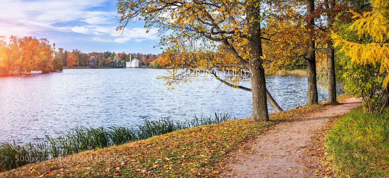 Canon EOS 60D sample photo. Path by the pond photography