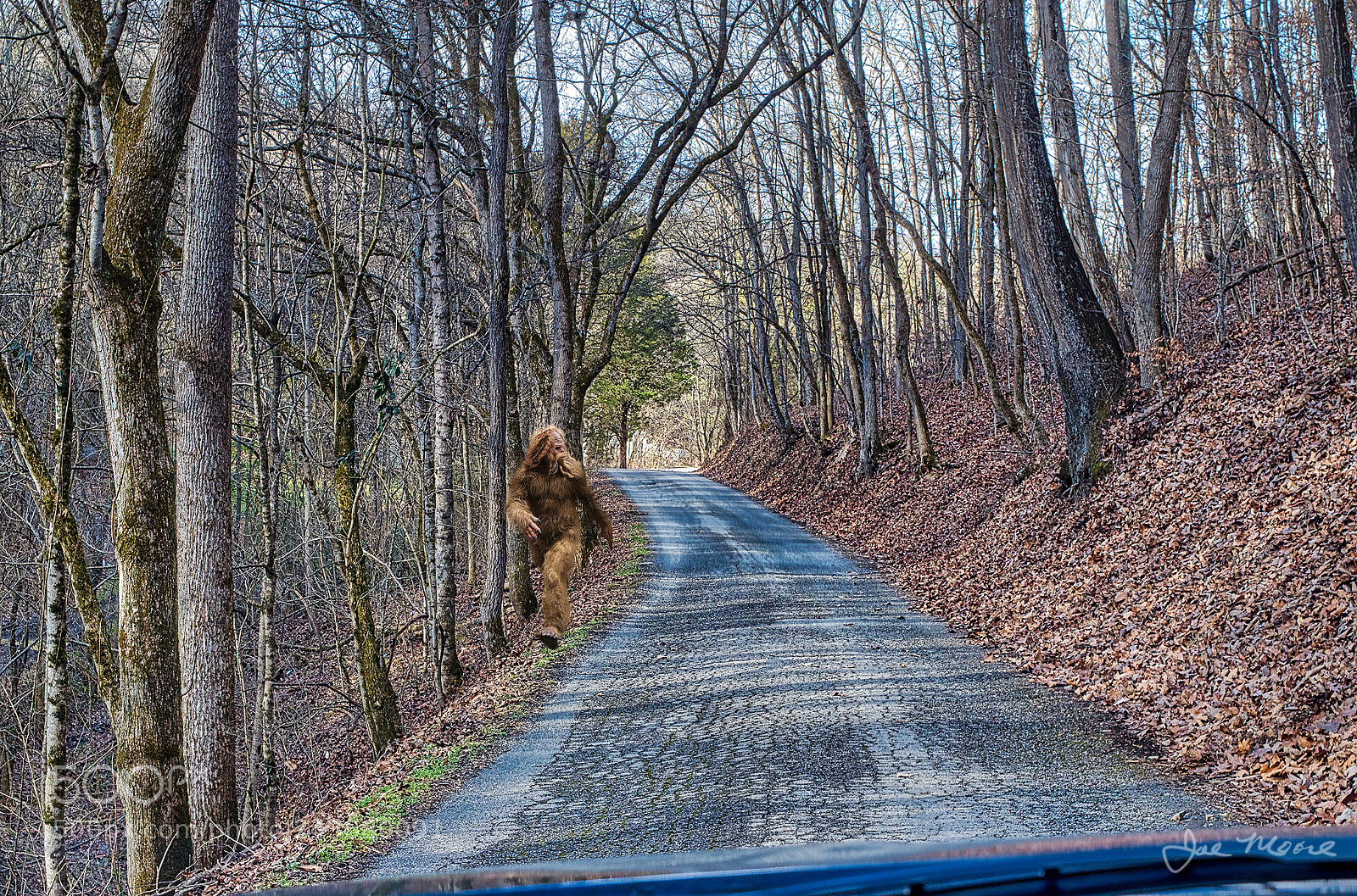 Nikon D5500 sample photo. Afternoon run photography