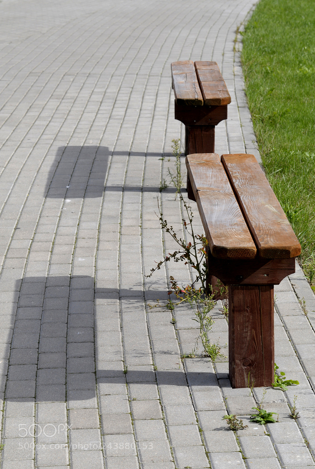 Nikon D300S sample photo. Two benches under the photography
