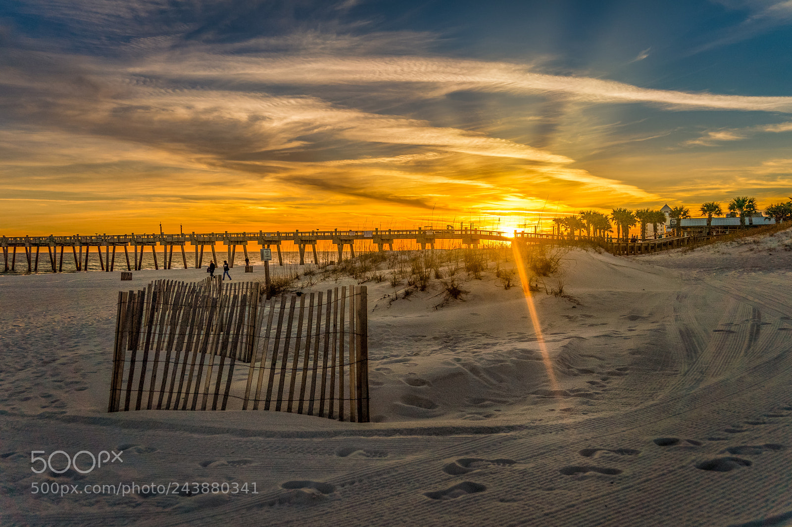 Sony a9 sample photo. Golden hour sunset photography
