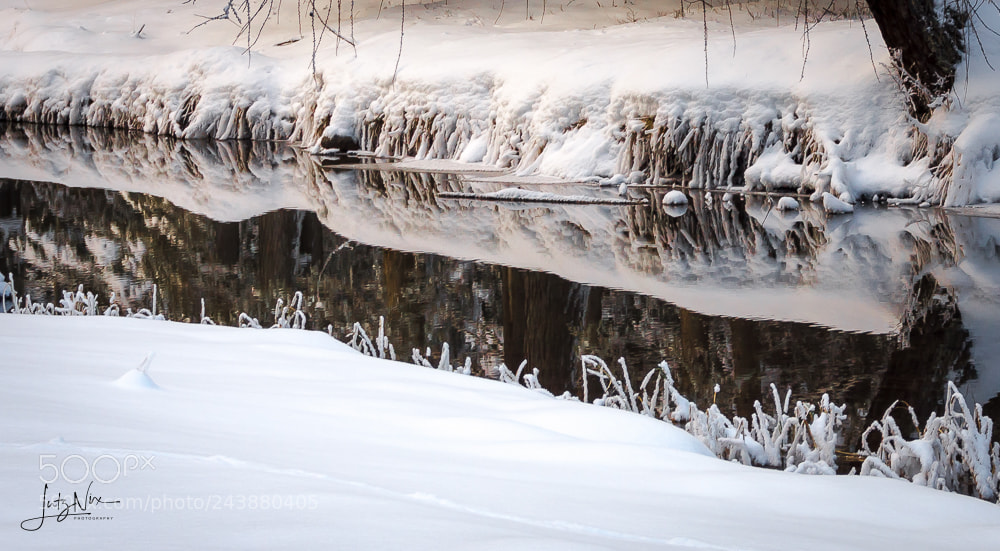 Sony SLT-A65 (SLT-A65V) sample photo. Winter reflections photography