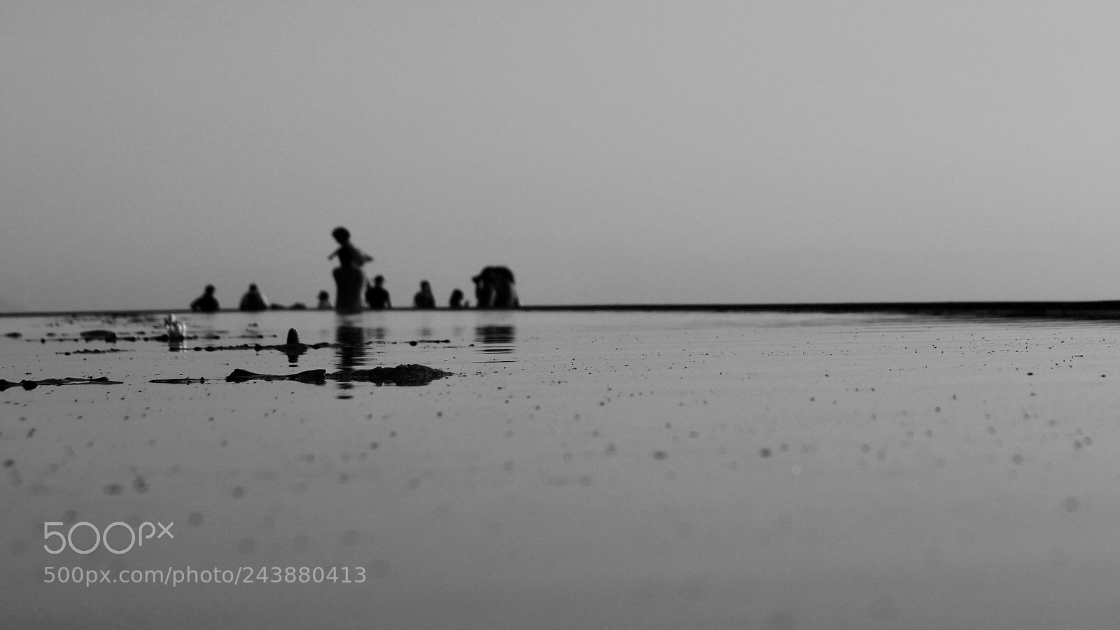 Sony SLT-A65 (SLT-A65V) sample photo. The shape of water photography