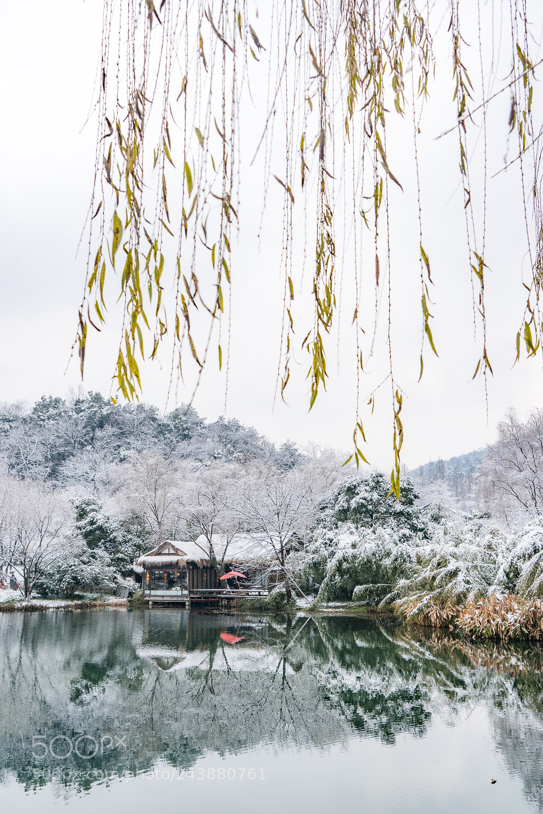 Sony a7R II sample photo. Snow of hangzhou photography