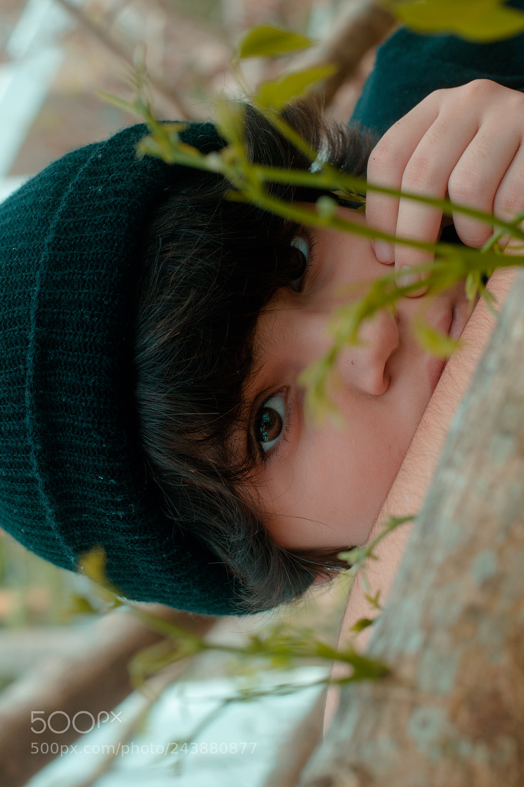 Nikon D3100 sample photo. Stolen pictures in a photography
