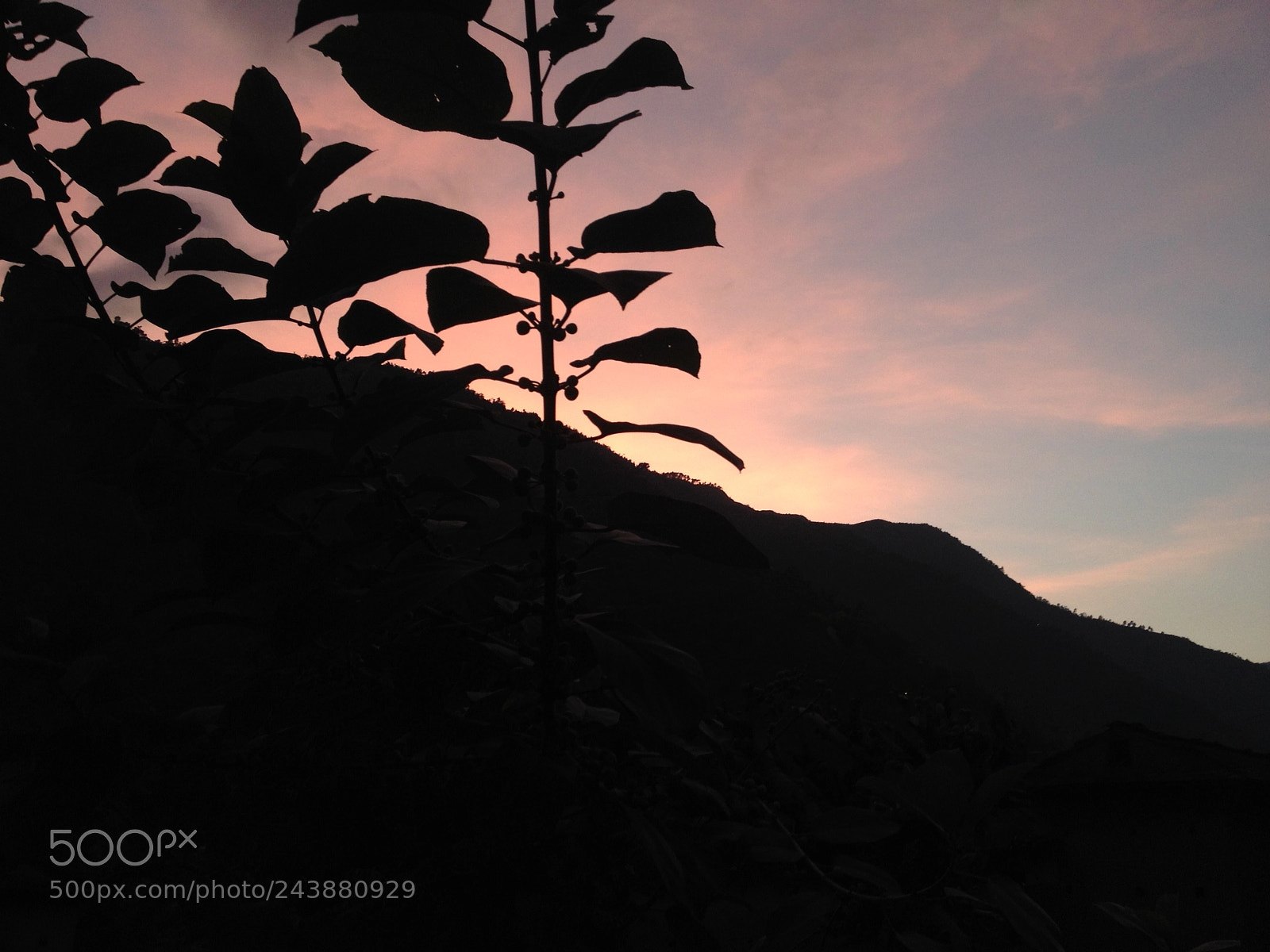 Apple iPhone 4S sample photo. Silhouette photo photography