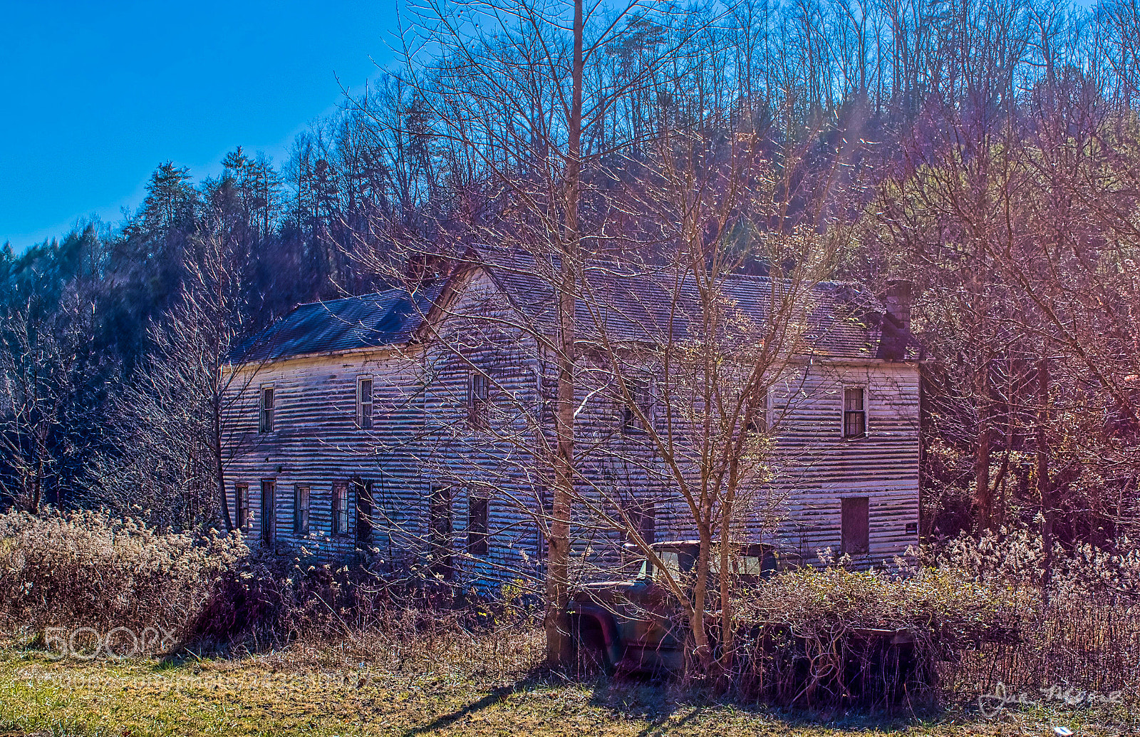 Nikon D5500 sample photo. Weed haulers photography