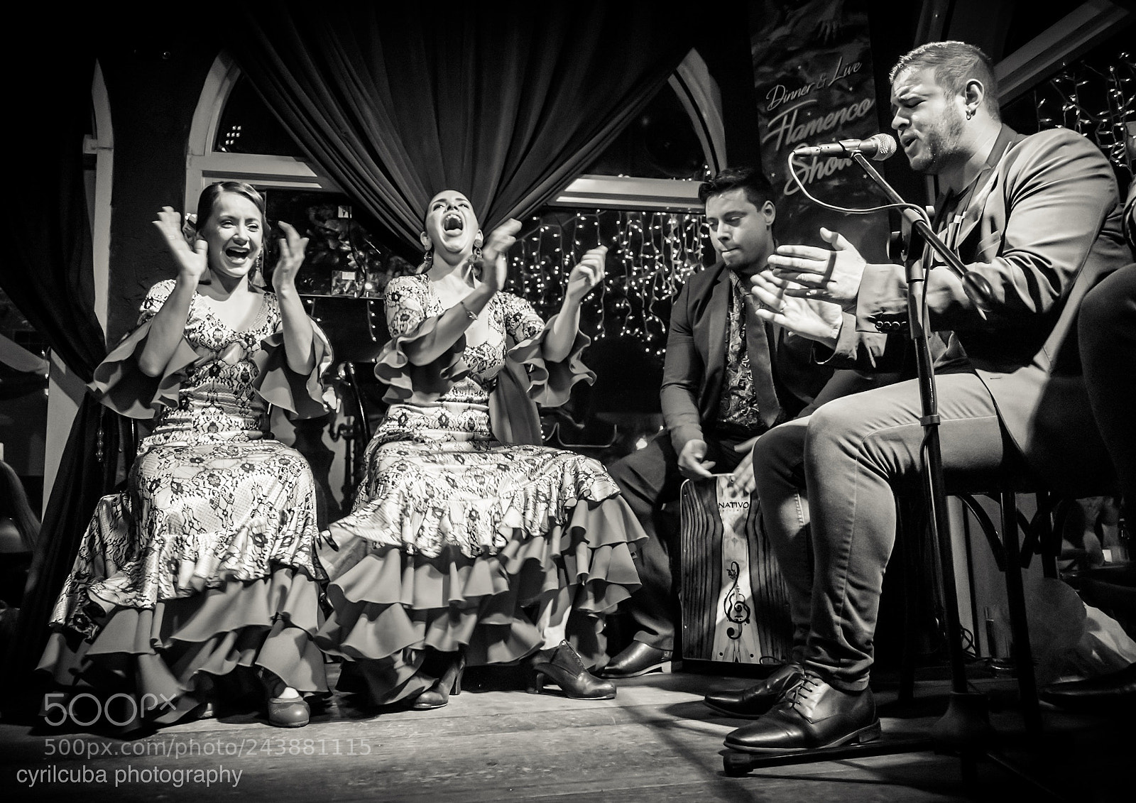 Nikon D5500 sample photo. Flamenco show photography