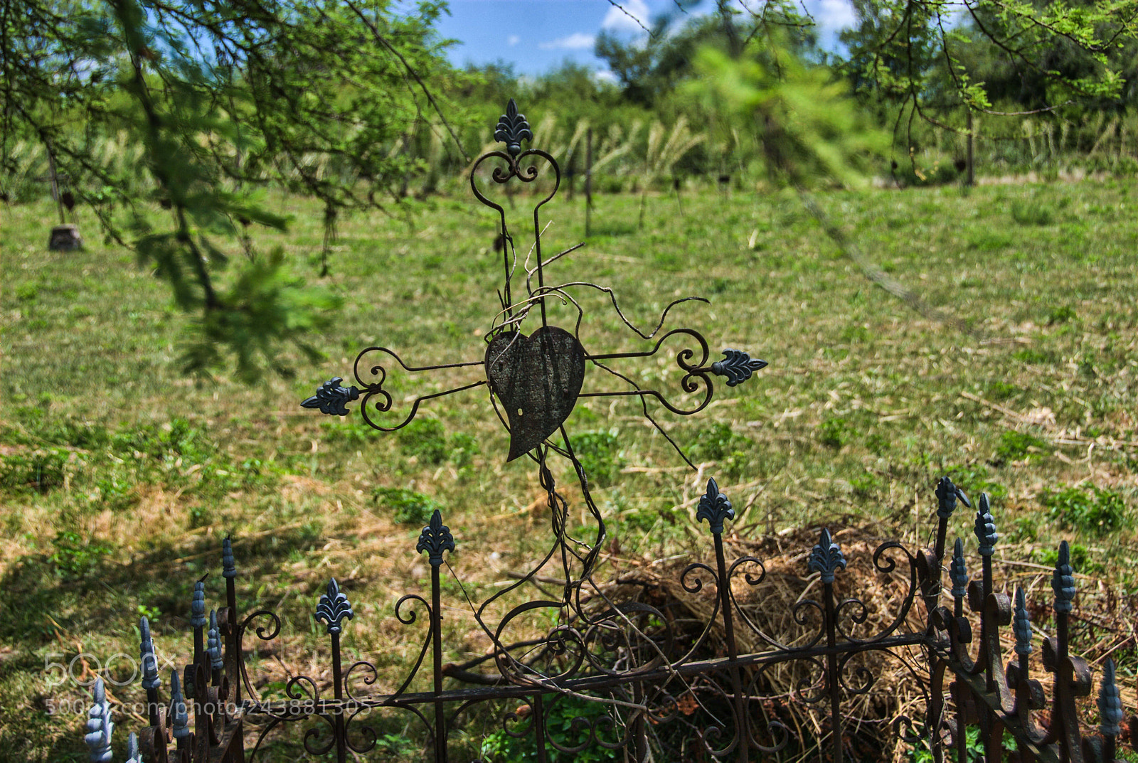 Nikon D80 sample photo. Abandoned cemetery photography