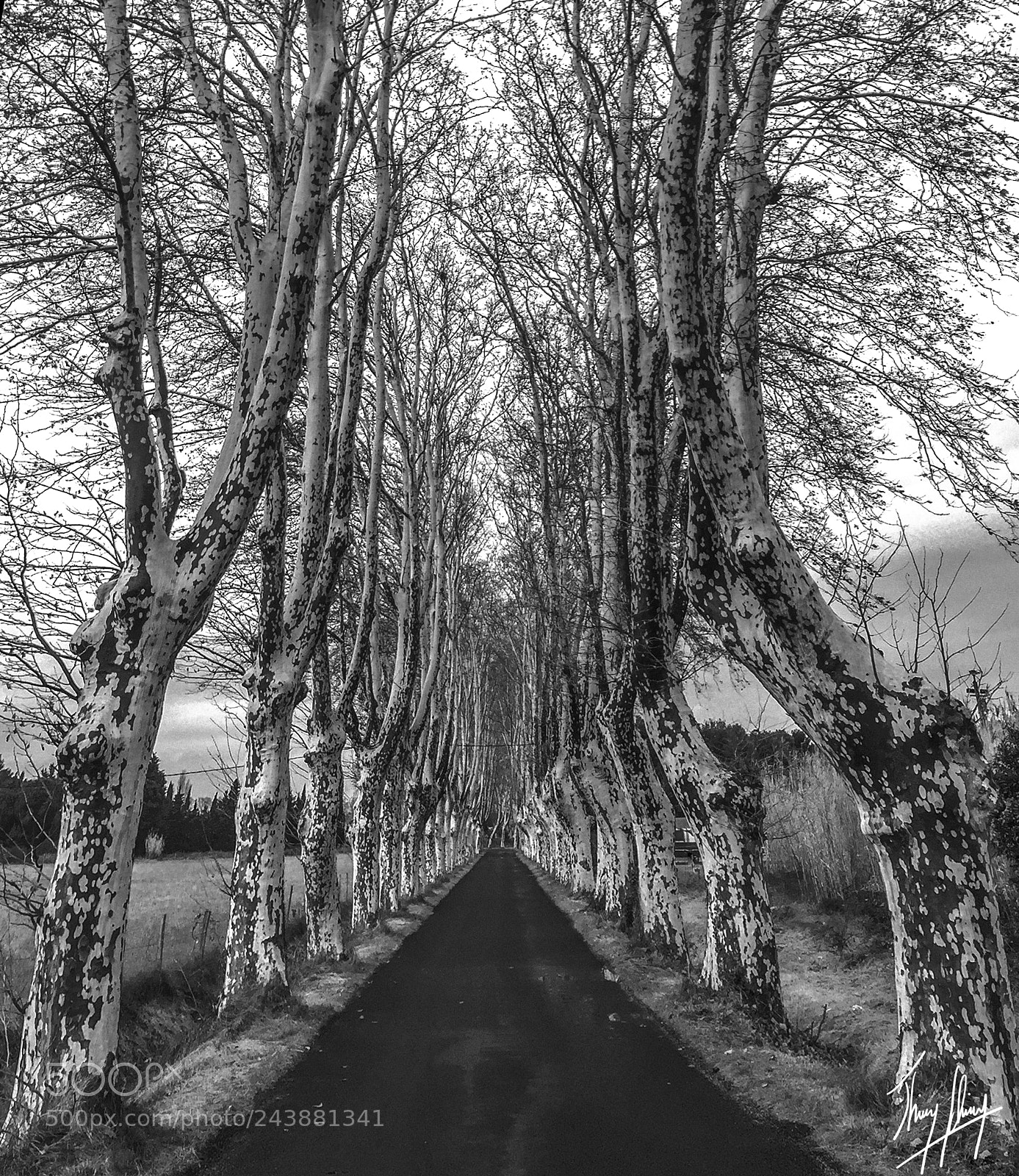 Apple iPhone 6 sample photo. Road without crash exit photography