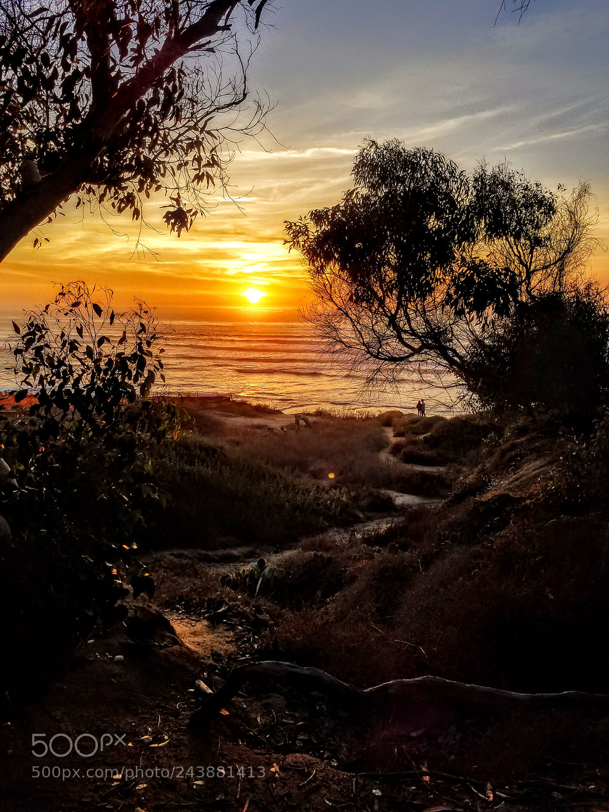 Samsung Galaxy S7 sample photo. Path to the sunset photography