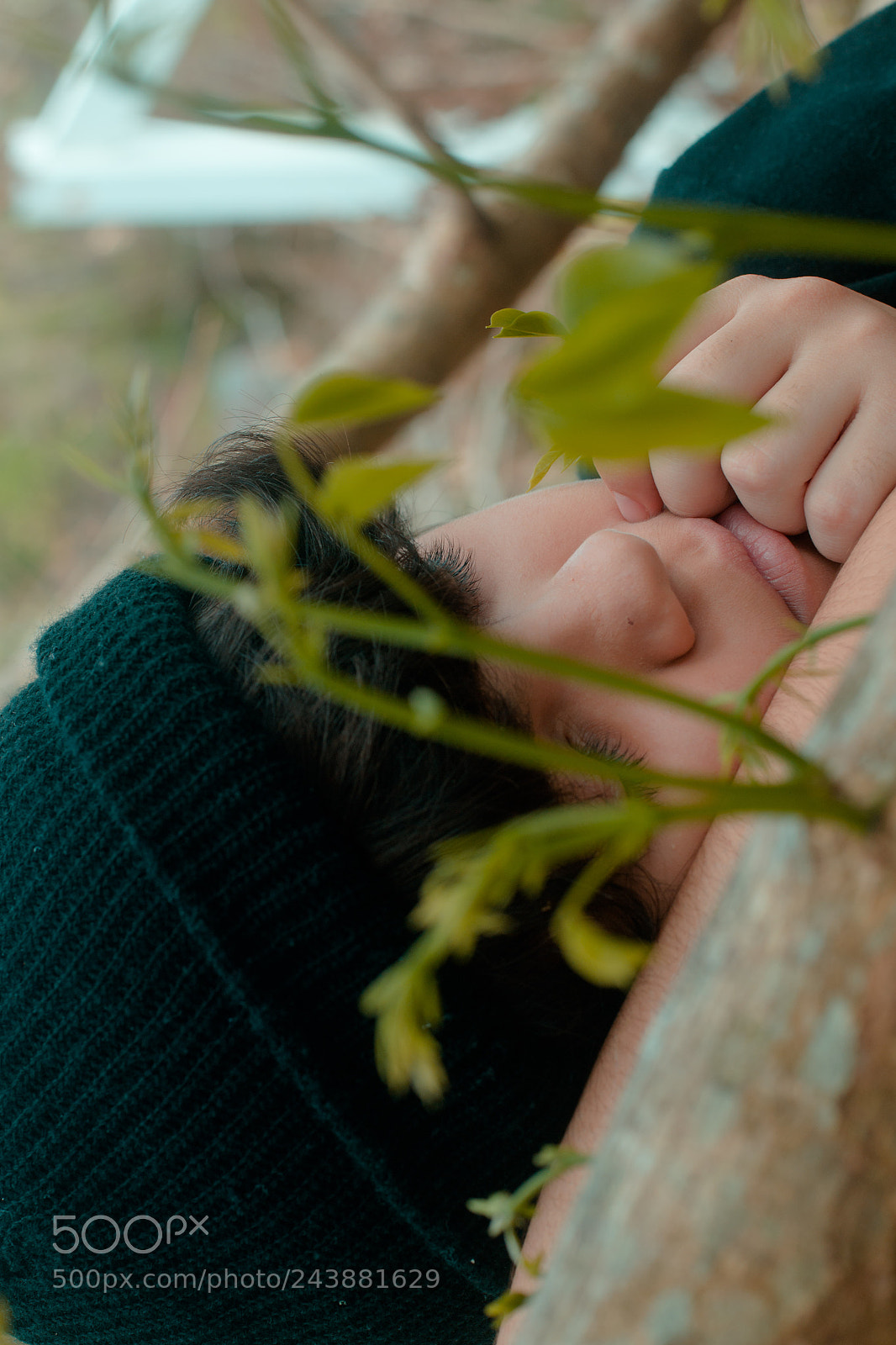Nikon D3100 sample photo. Untitled photography