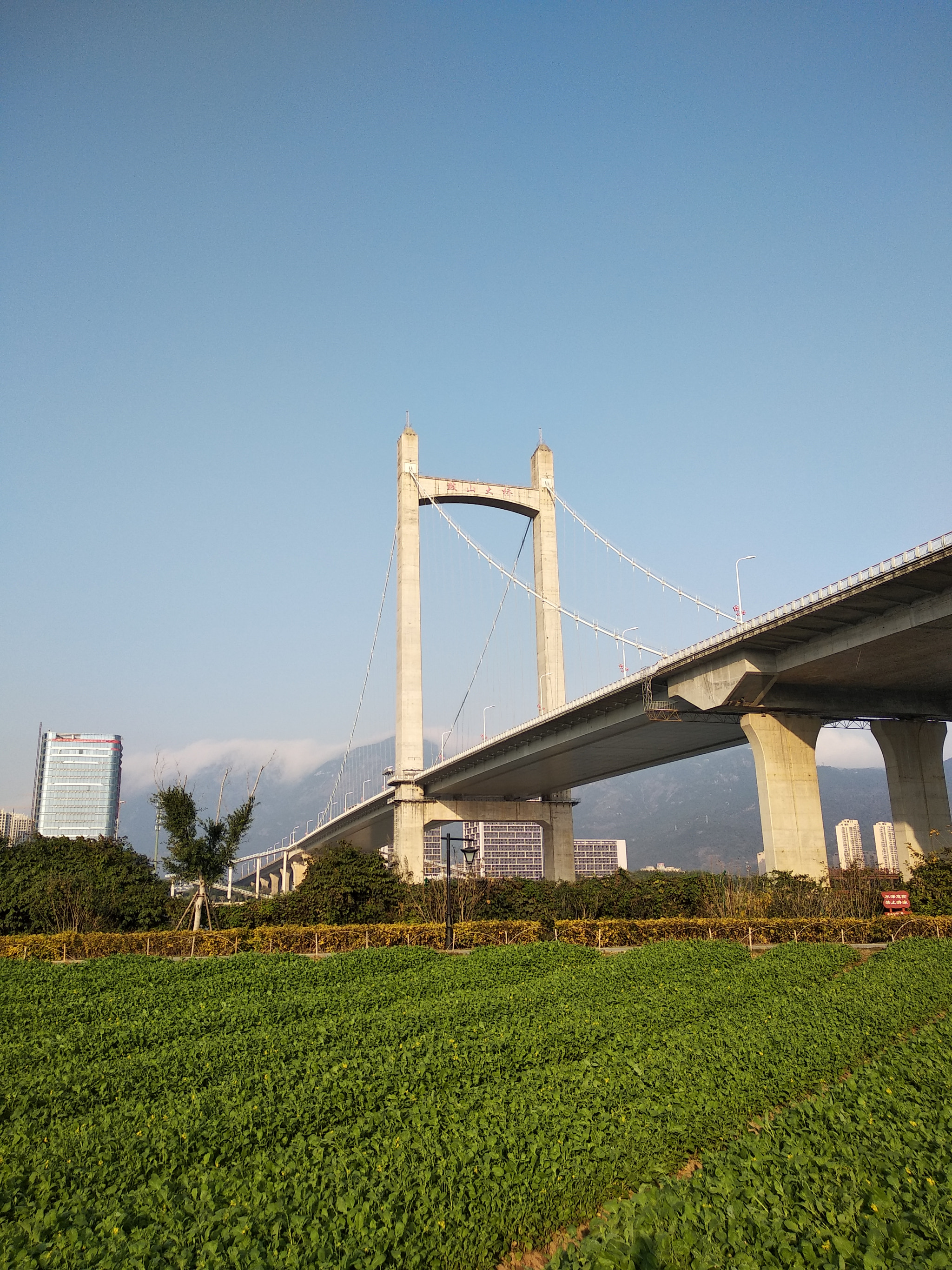 Xiaomi Redmi 5 Plus sample photo