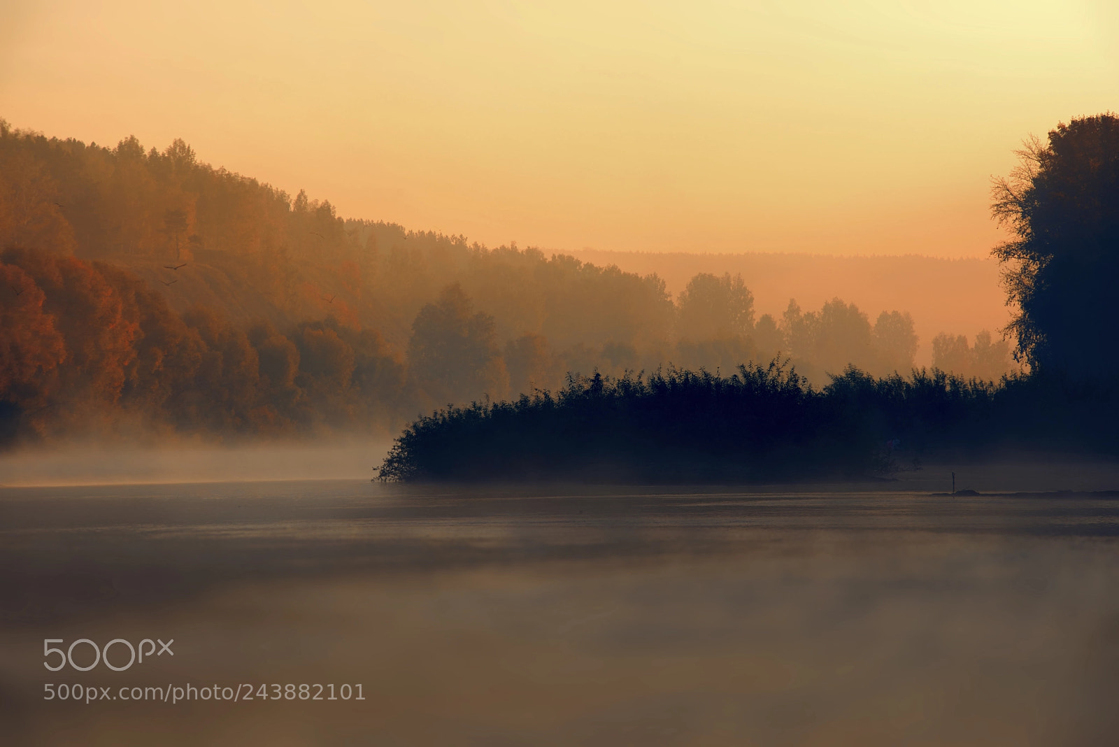 Nikon D810 sample photo. Autumn photography