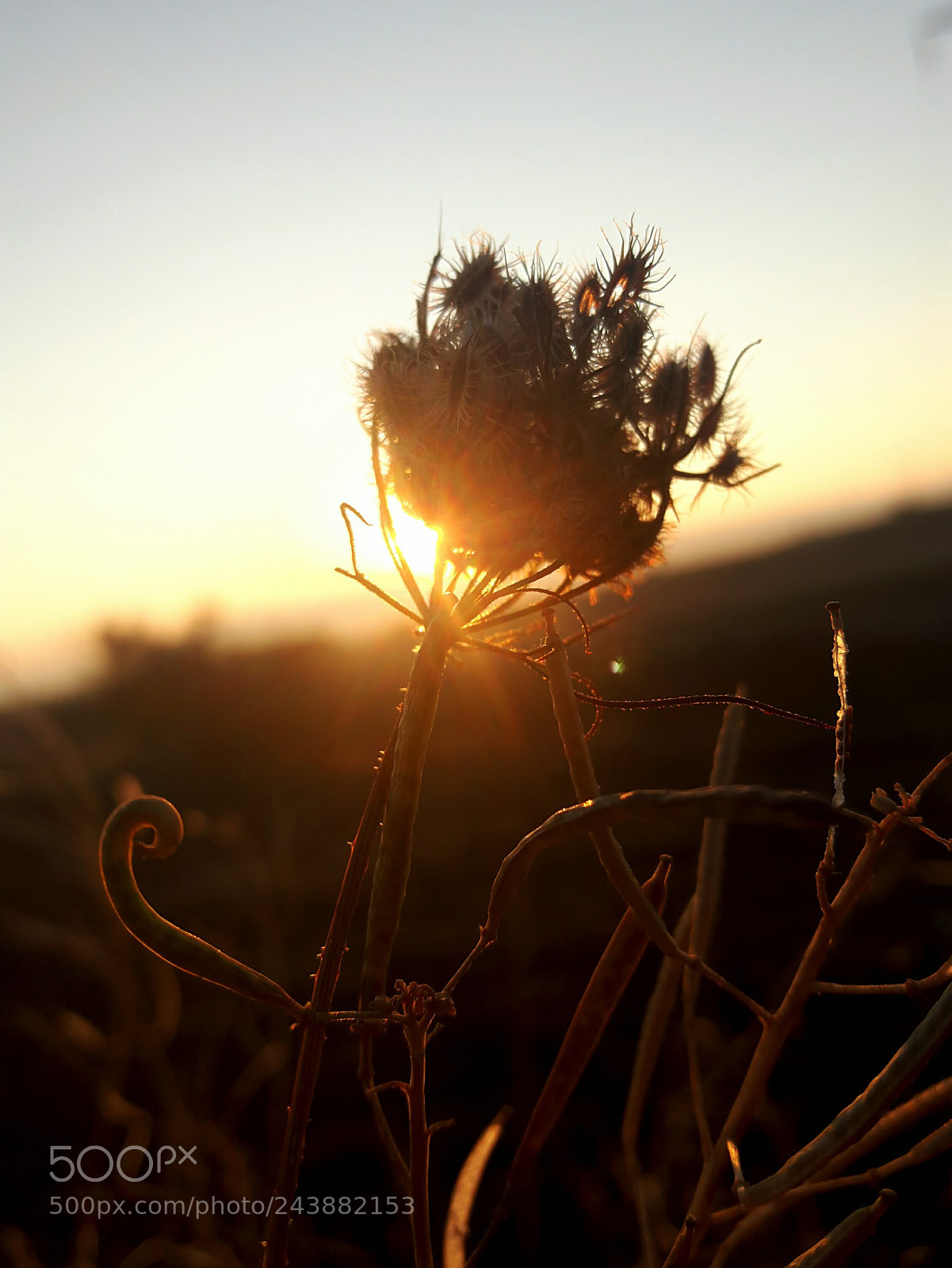 Samsung Galaxy A8 sample photo. Sunset.. photography