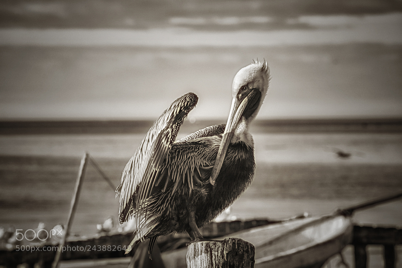 Nikon D7100 sample photo. Untitled photography