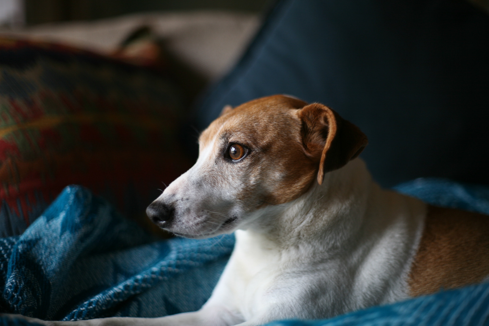 Canon EF 35-80mm f/4-5.6 sample photo. Img photography