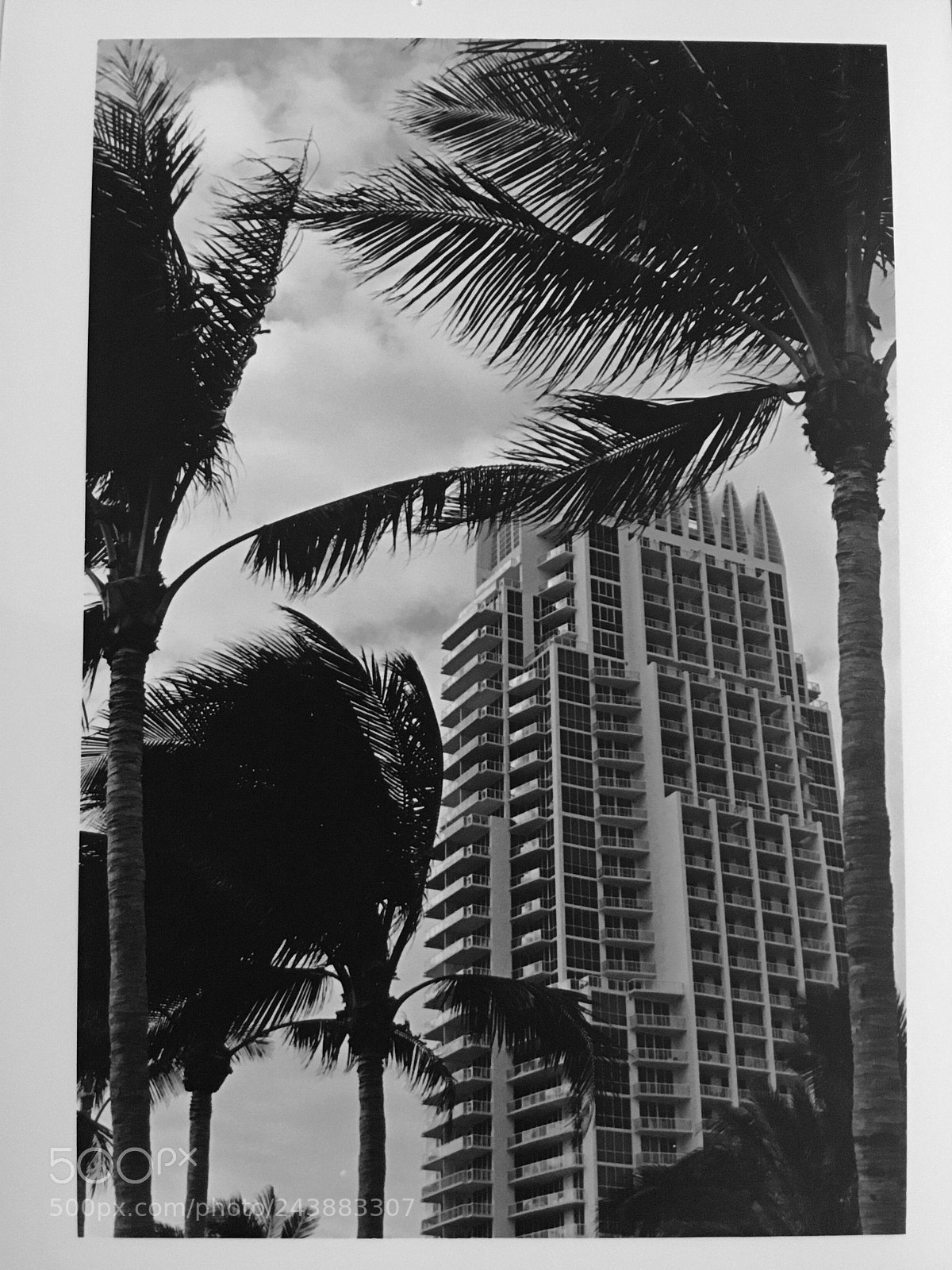 Apple iPad sample photo. Miami living photography