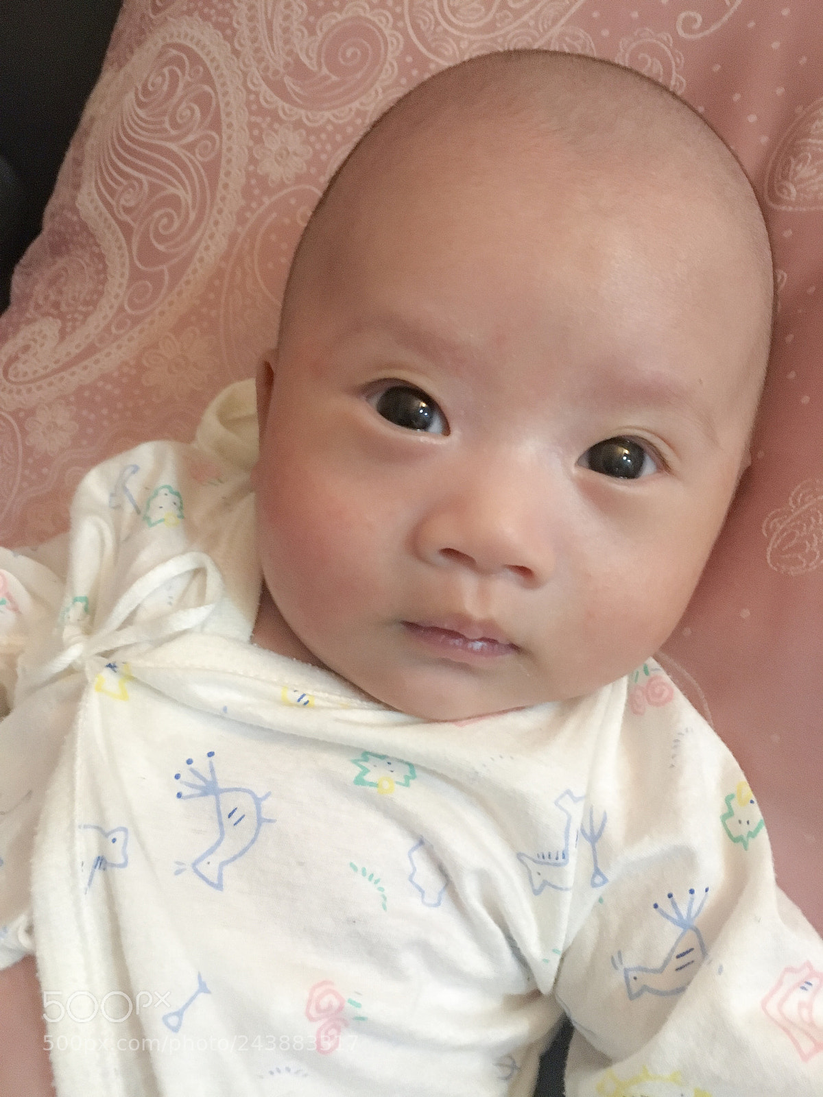 Apple iPhone 6s sample photo. Cute boy photography